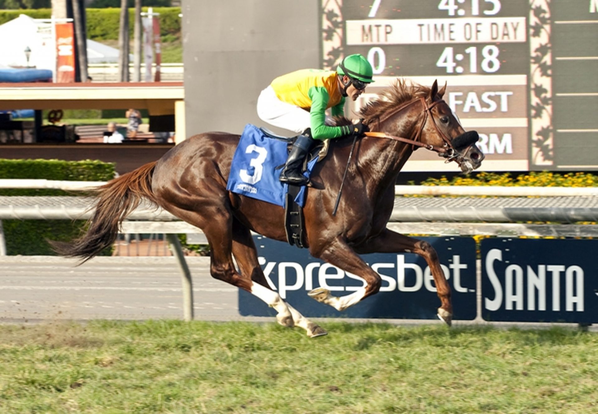 Om Twilight Derby 750