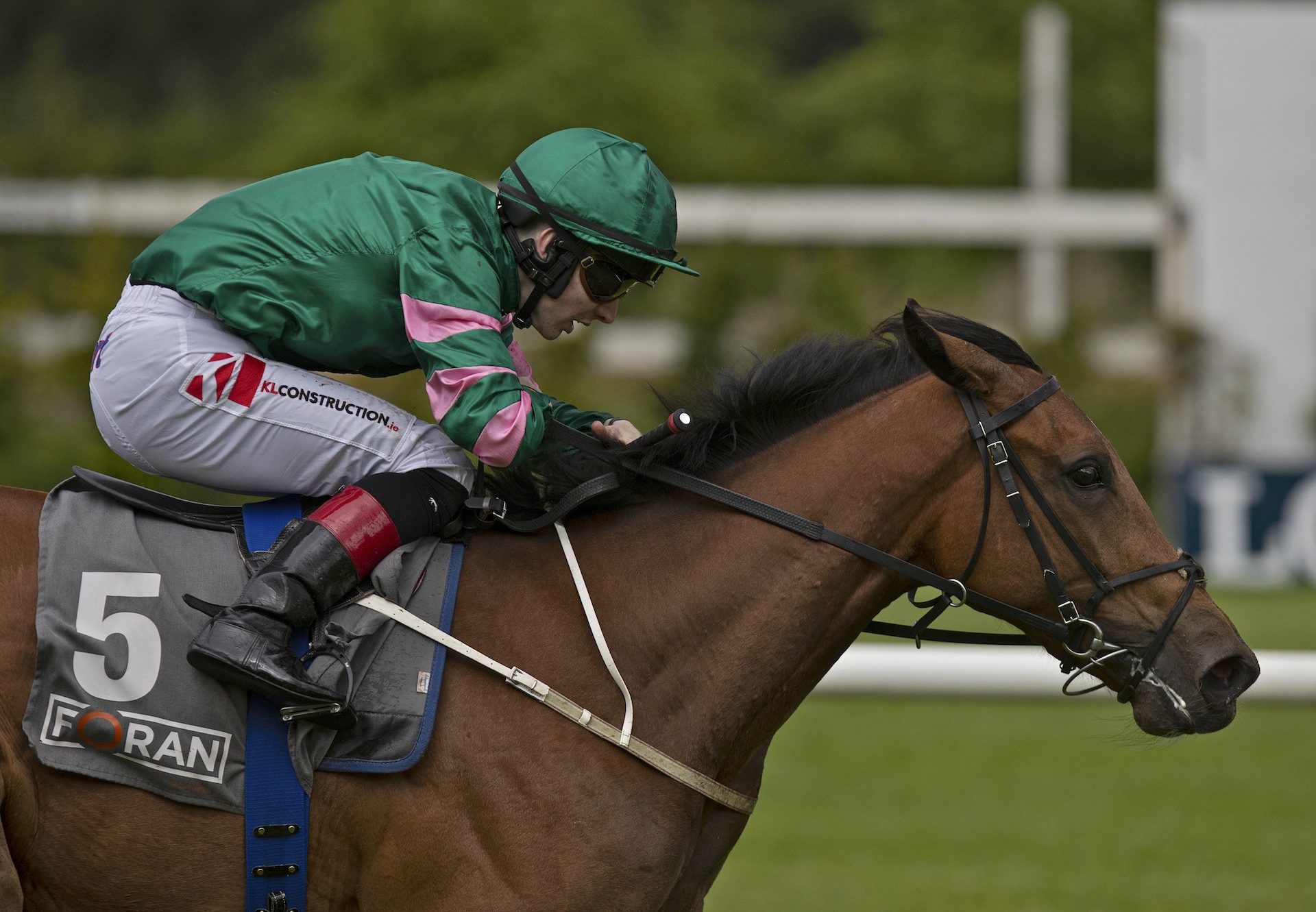 One Last Look Becomes The Latest Winner By Fastnet Rock