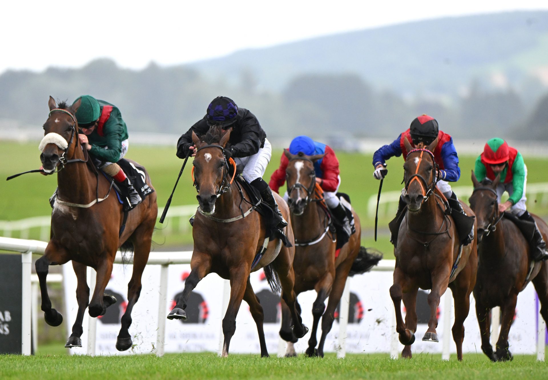 One Look (Gleneagles) Curragh F1