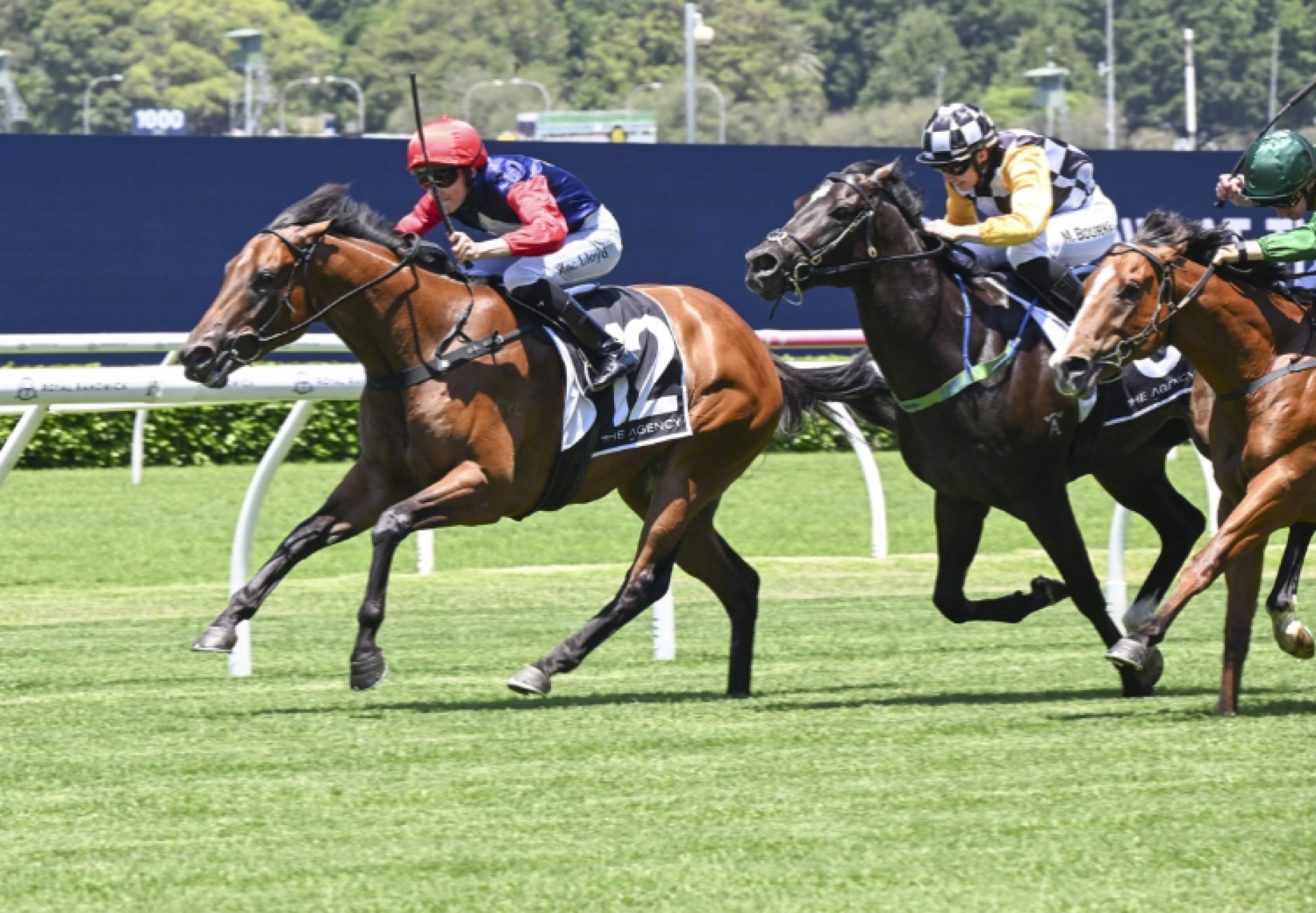 Open Secret (King's Legacy) Randwick 750