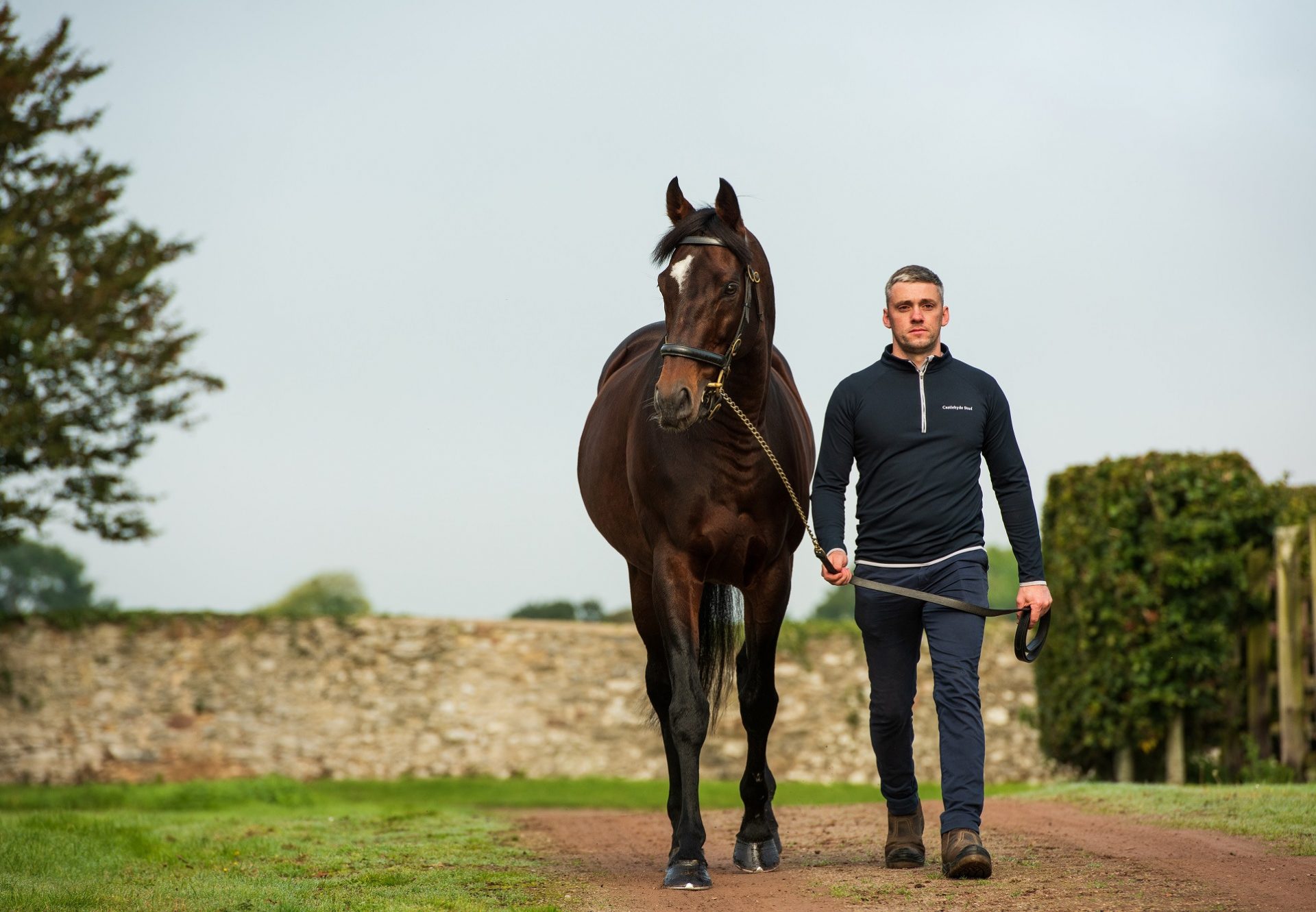 Order Of St George Walking
