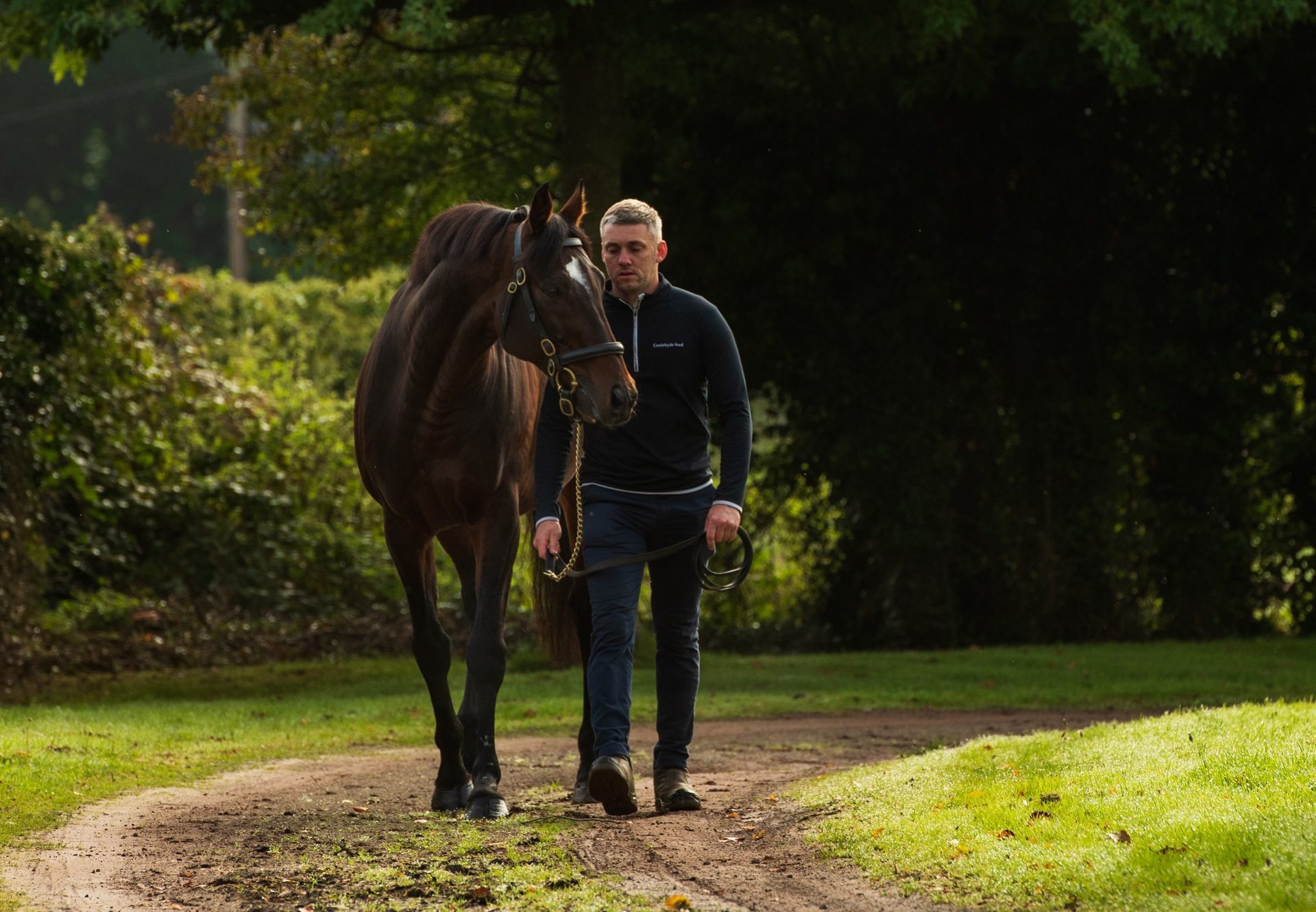 Order Of St George Walking