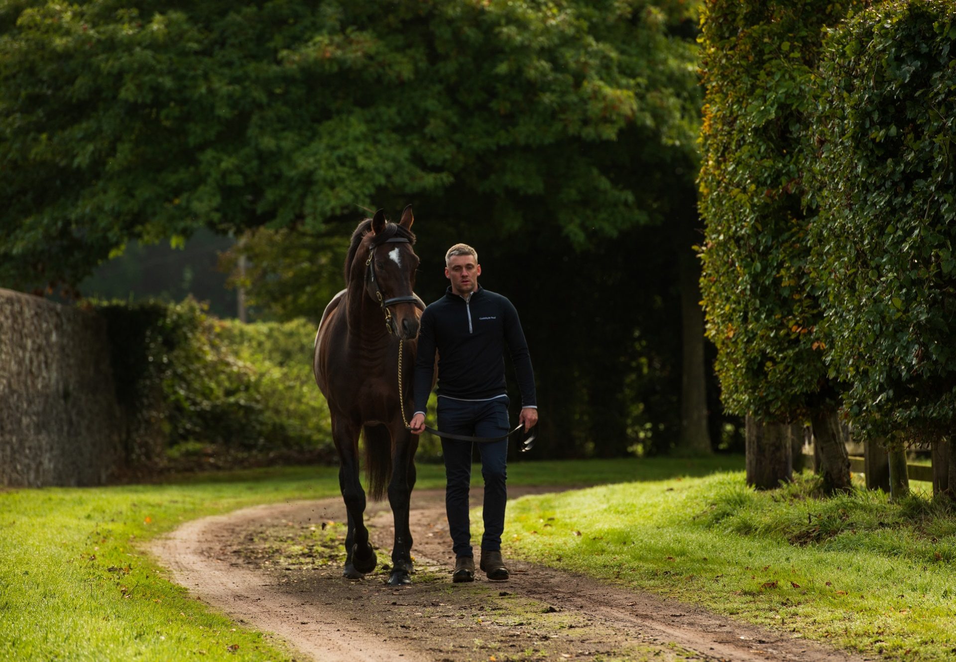 Order Of St George Walking
