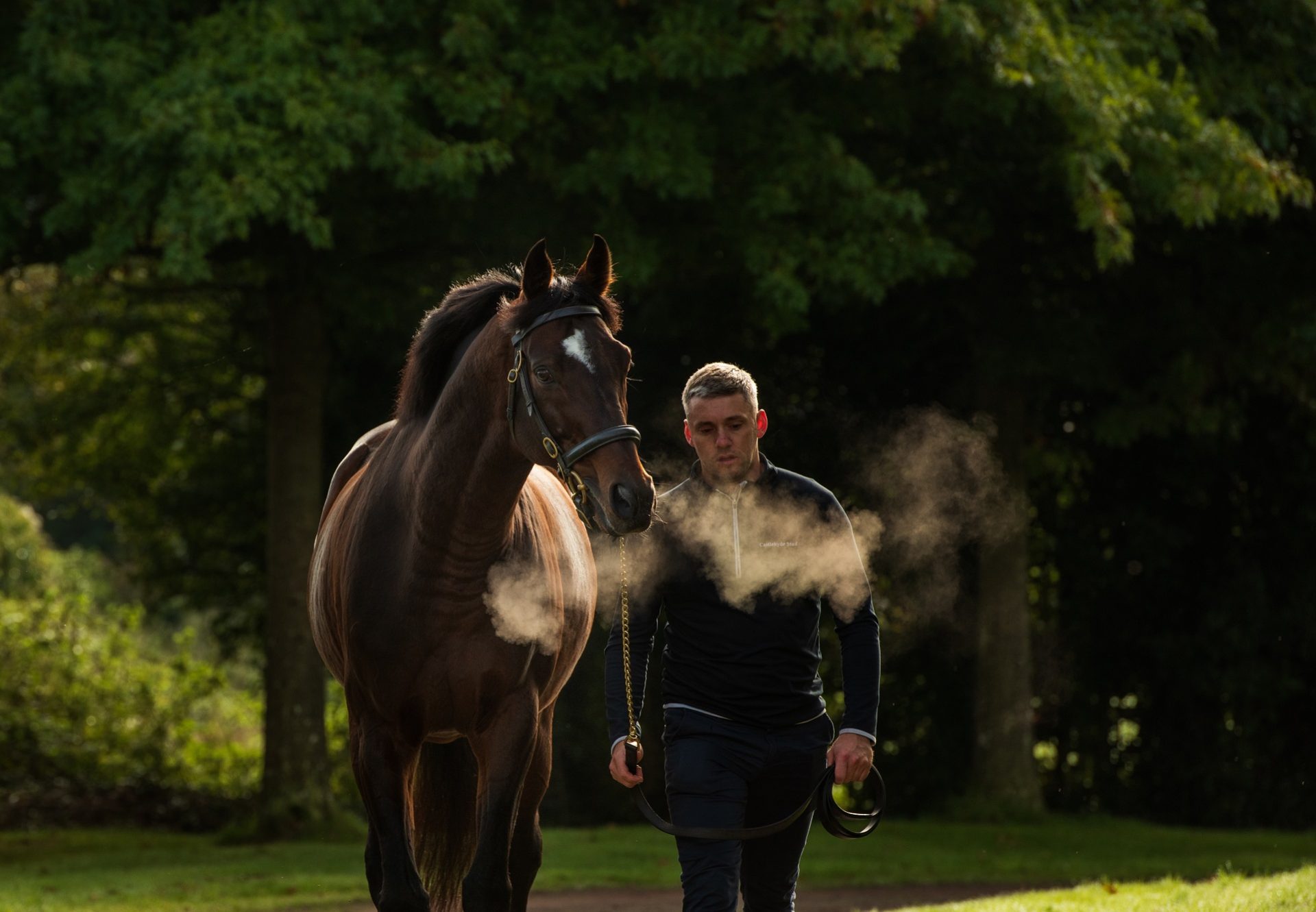 Order Of St George Walking