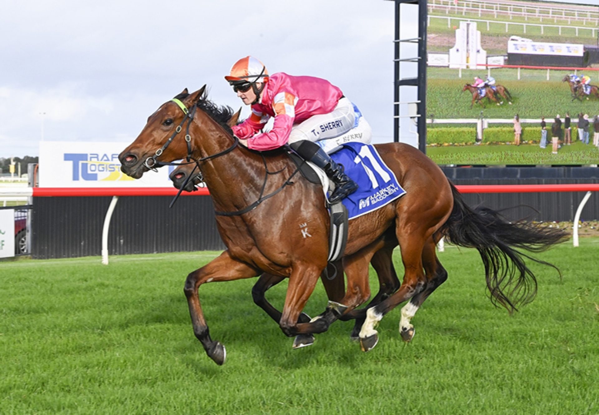 Oui Oui Oui (Yes Yes Yes) Kembla 750