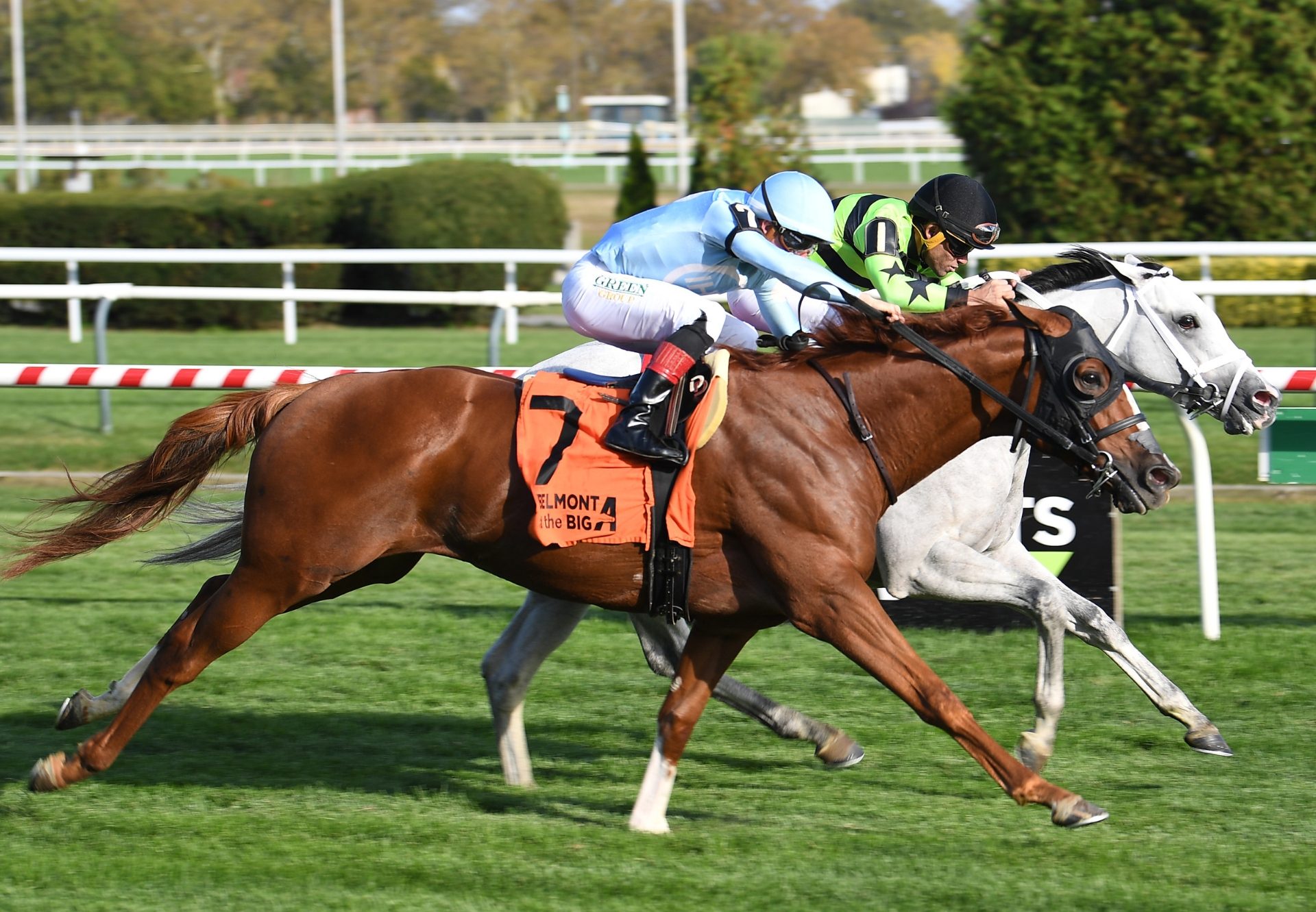 Out On Bail tiz the law