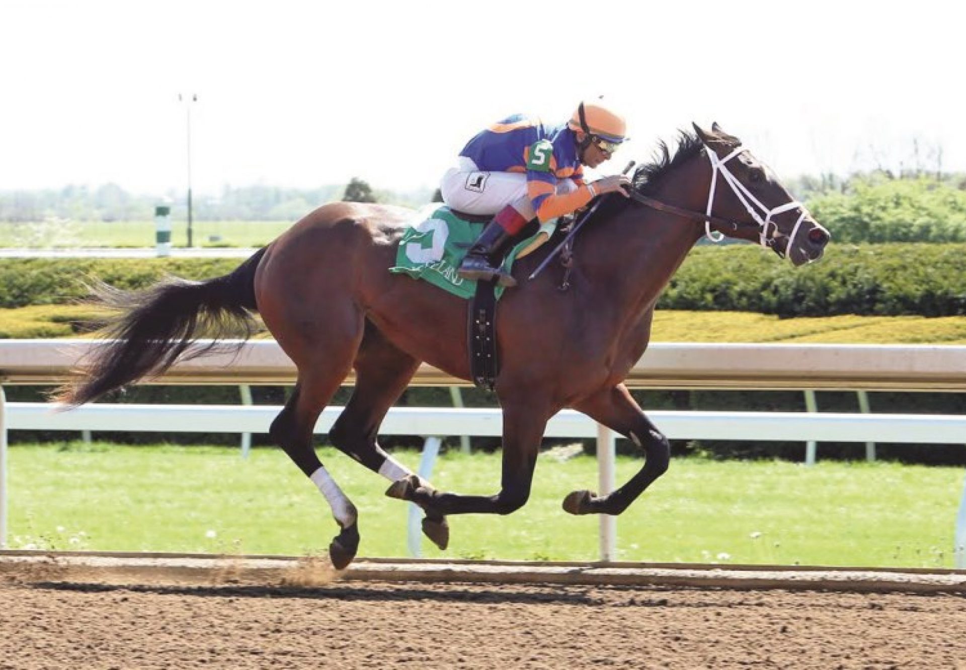 Outwork Cp Keeneland 2