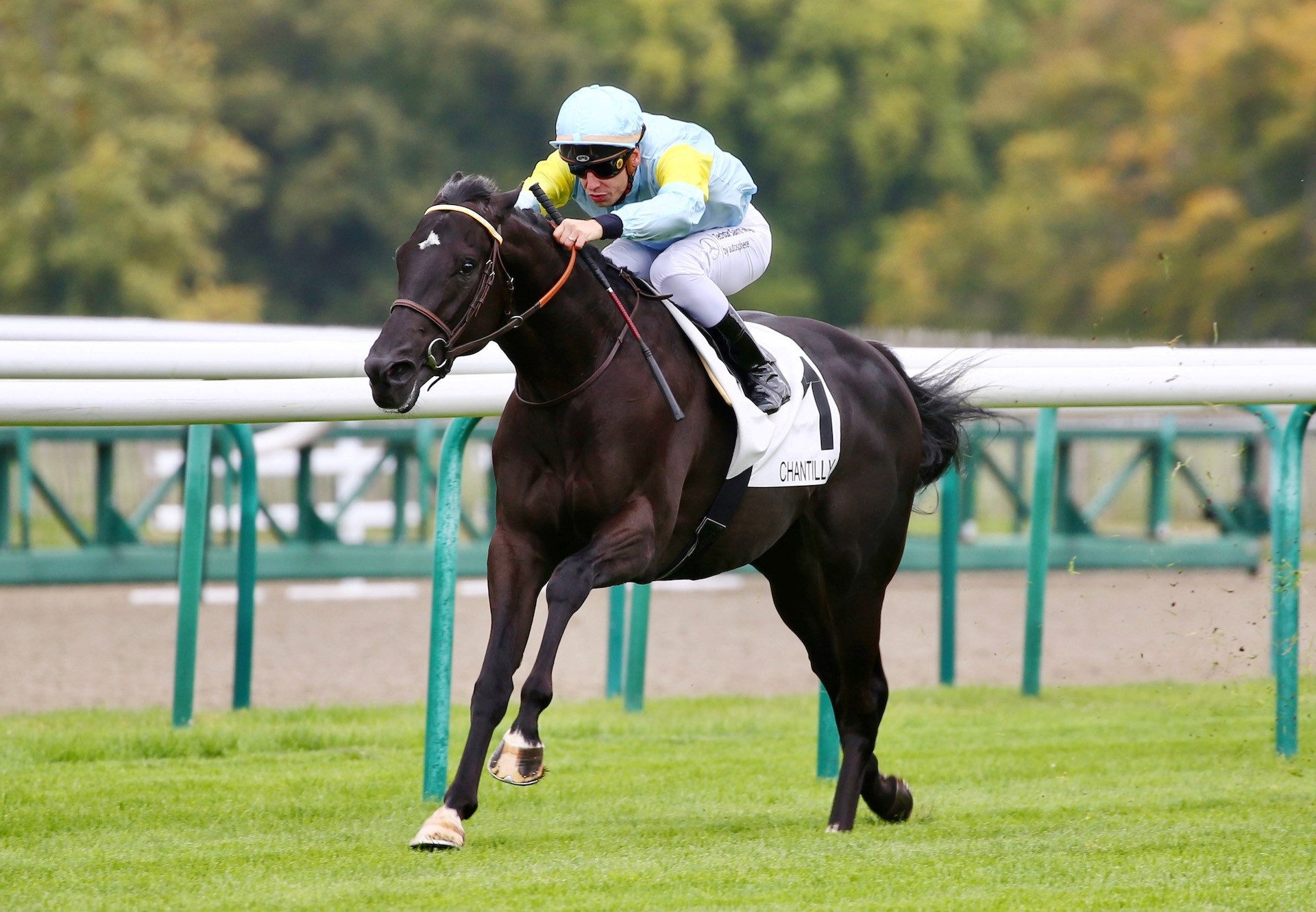 Padishakh (Wootton Bassett) Wins At Chantilly