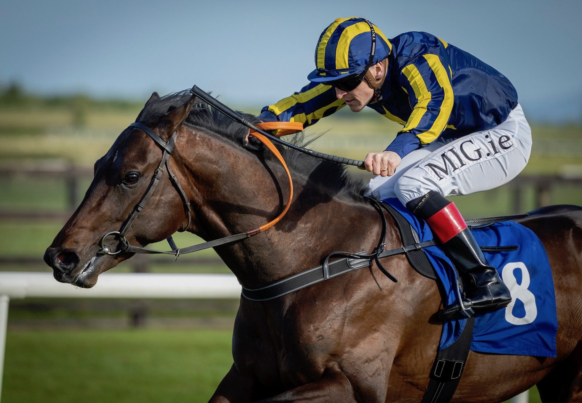 Pearling Path (Holy Roman Emperor) Wins His Maiden At Fairyhouse