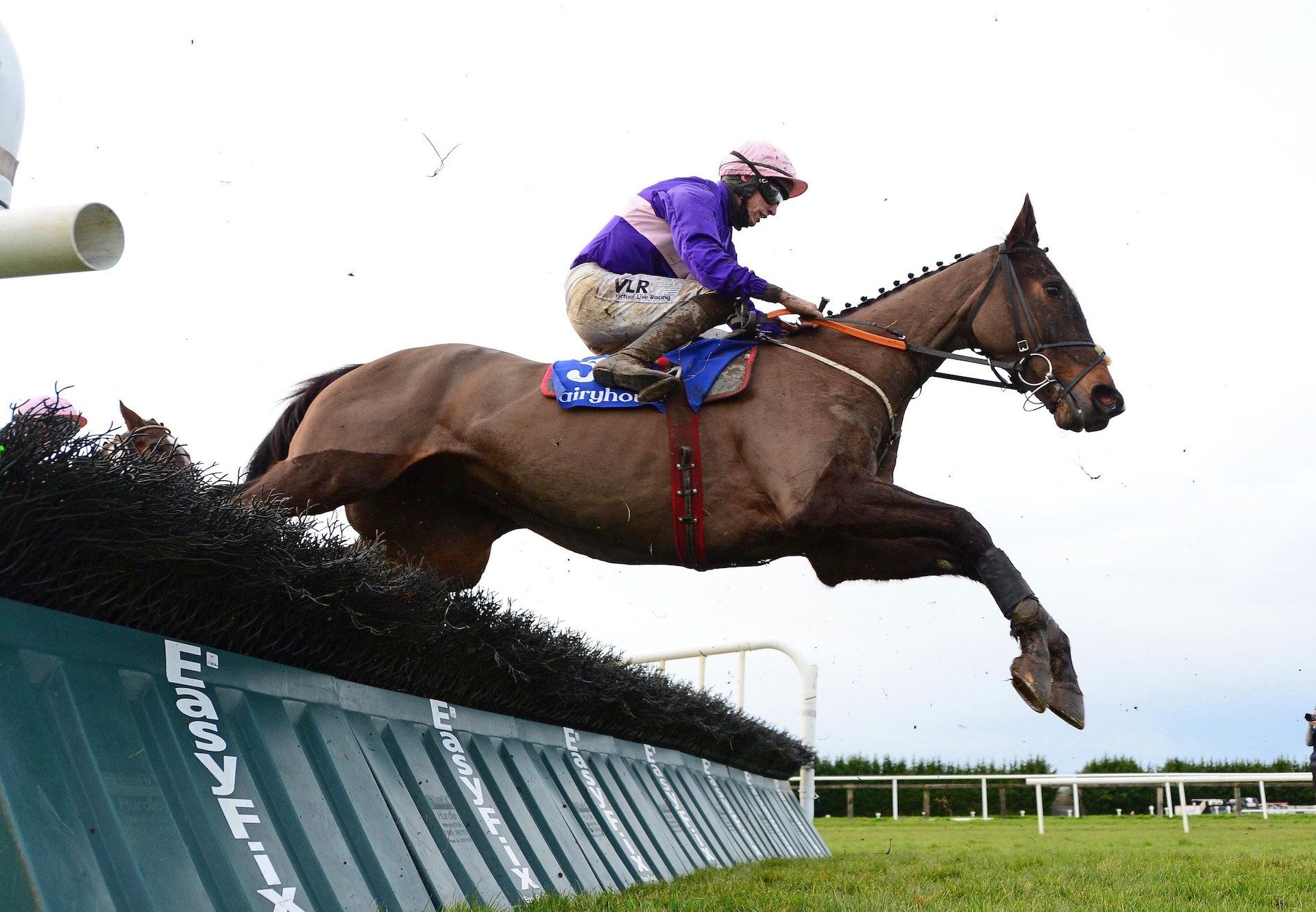 Percy Warner (Ocovango) Wins At Fairyhouse