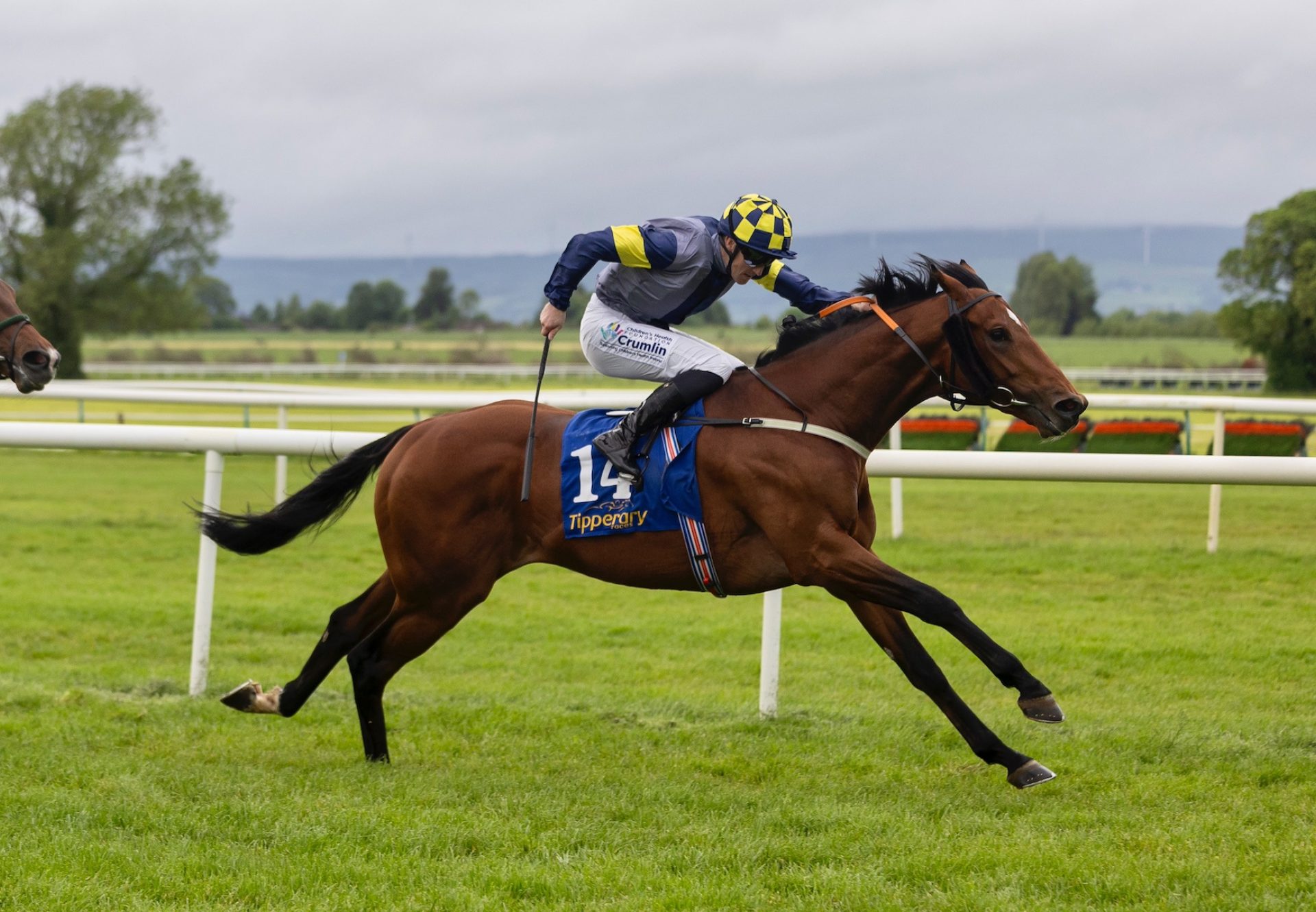 Pharos Freedom (starspangledbanner) Wins On Debut