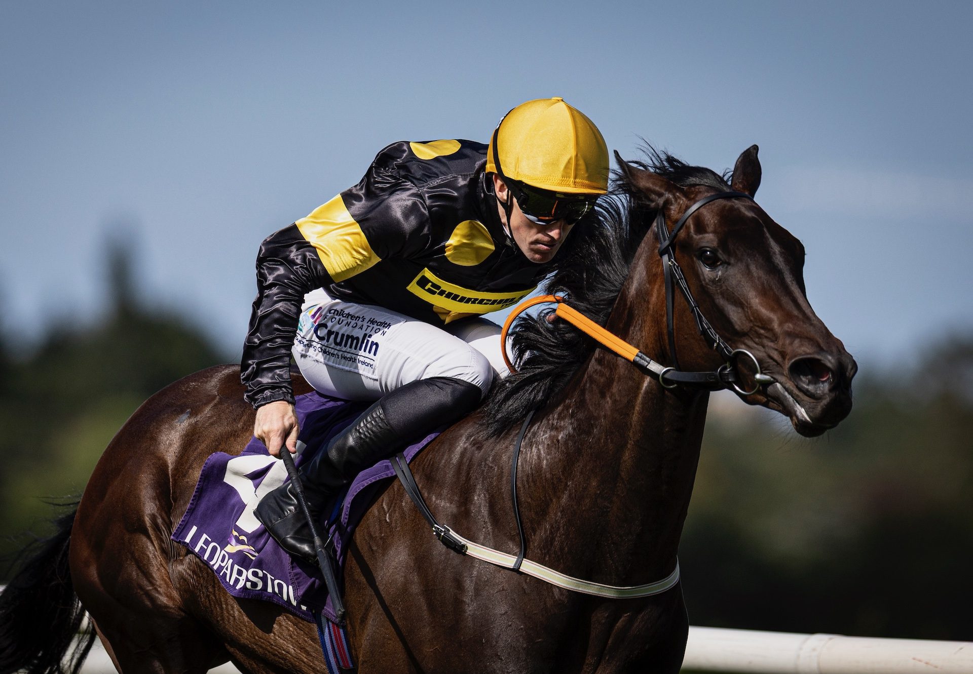 Phenomenal Filly (sioux nation) Wins At Leopardstown