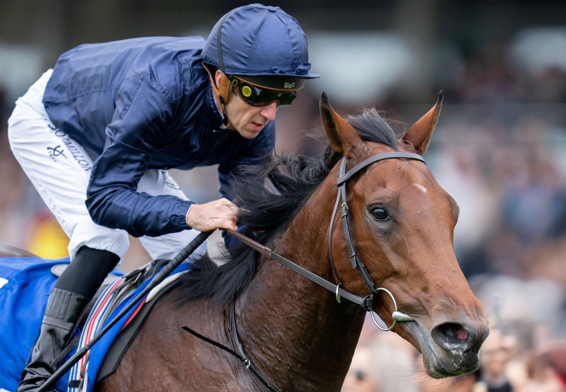 Pierre Bonnard Camelot Newmarket