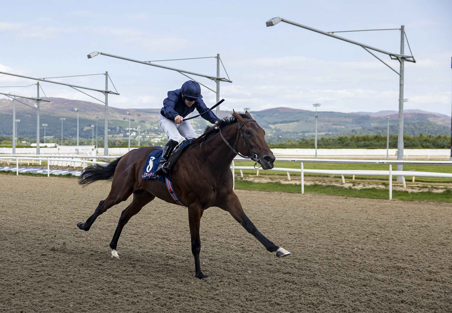 Pierre Bonnard (camelot)