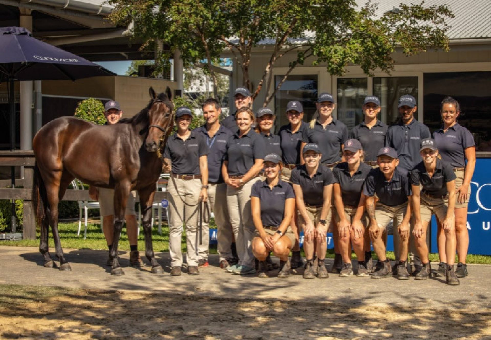 Pierro ex Winx yearling filly with the Coolmore Australia team