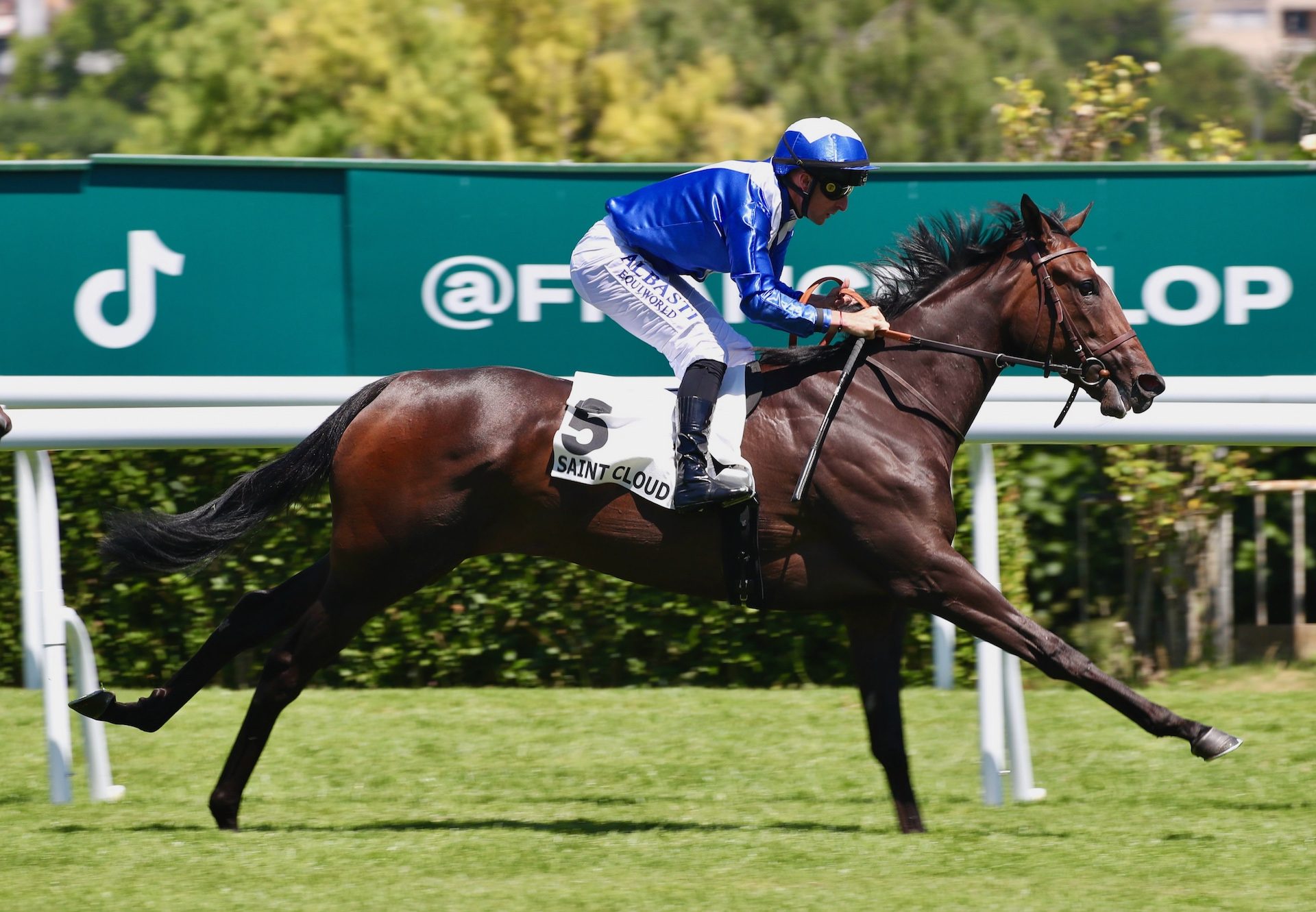 Pistoia (wootton bassett) Wins On Debut