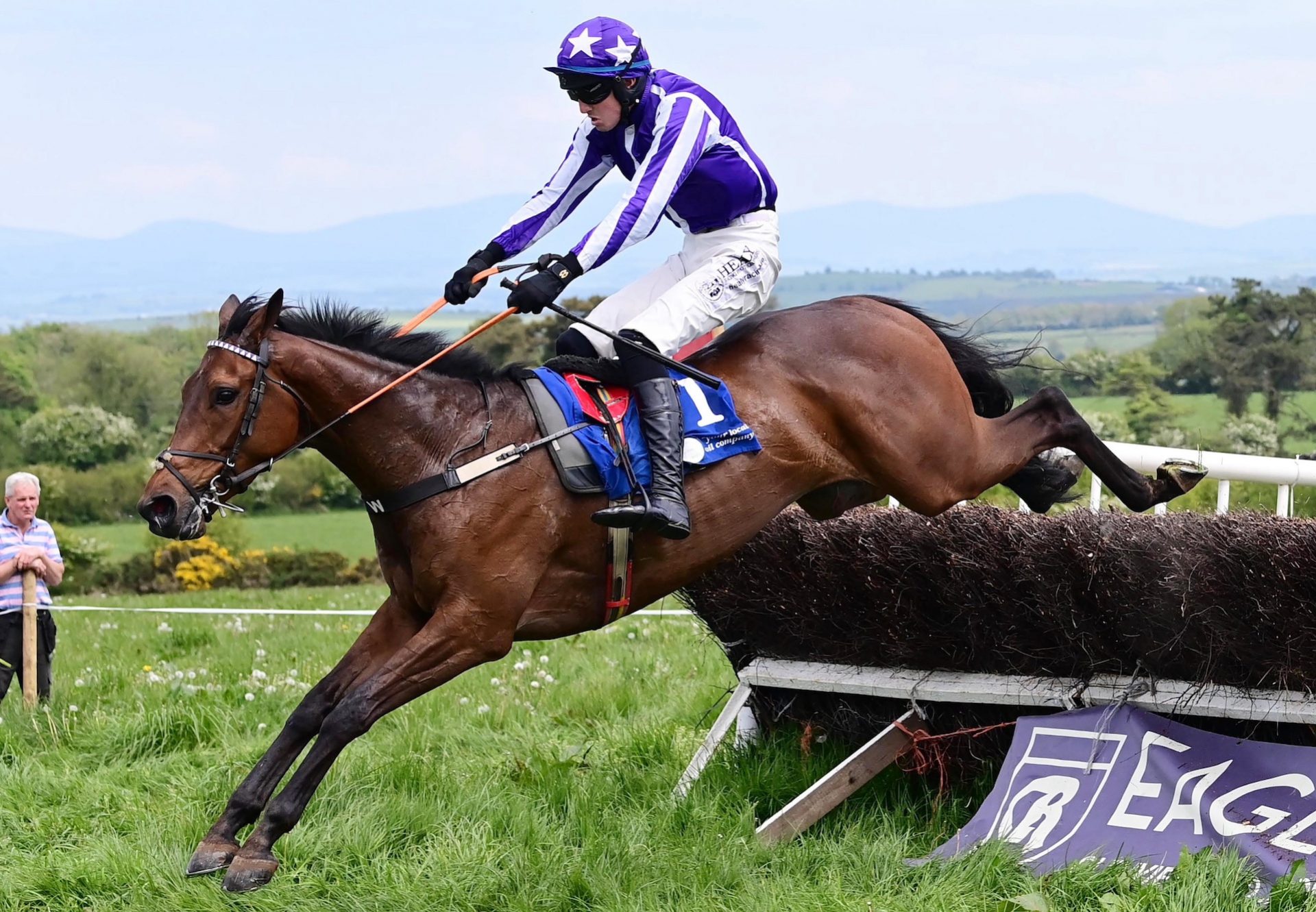 Pointofdifference (crystal ocean)  Bartlemy