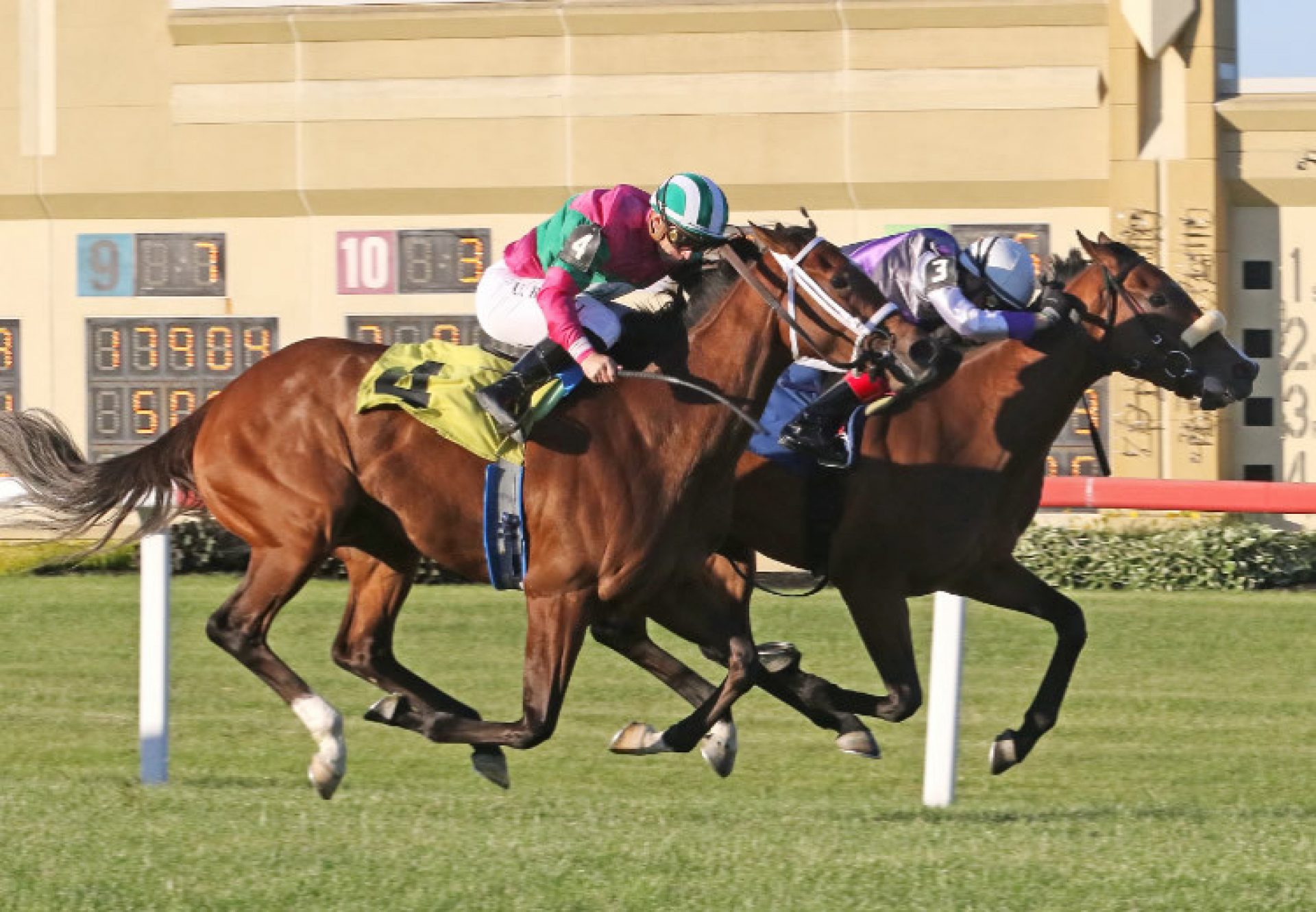 Poolside With Slim (Churchill) Penn Oaks