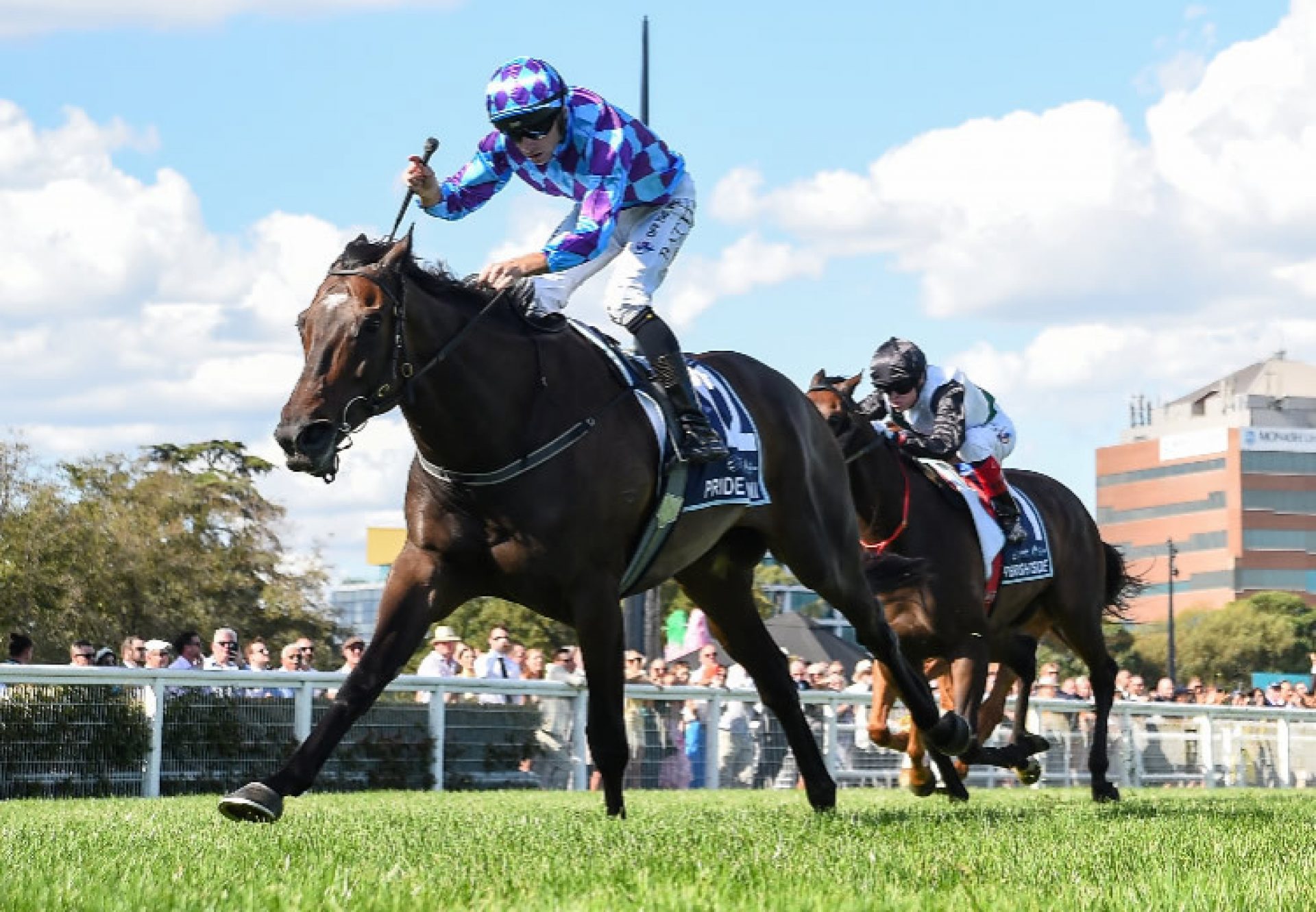 Pride Of Jenni (Pride Of Dubai) wins the All Star Mile at Caulfield