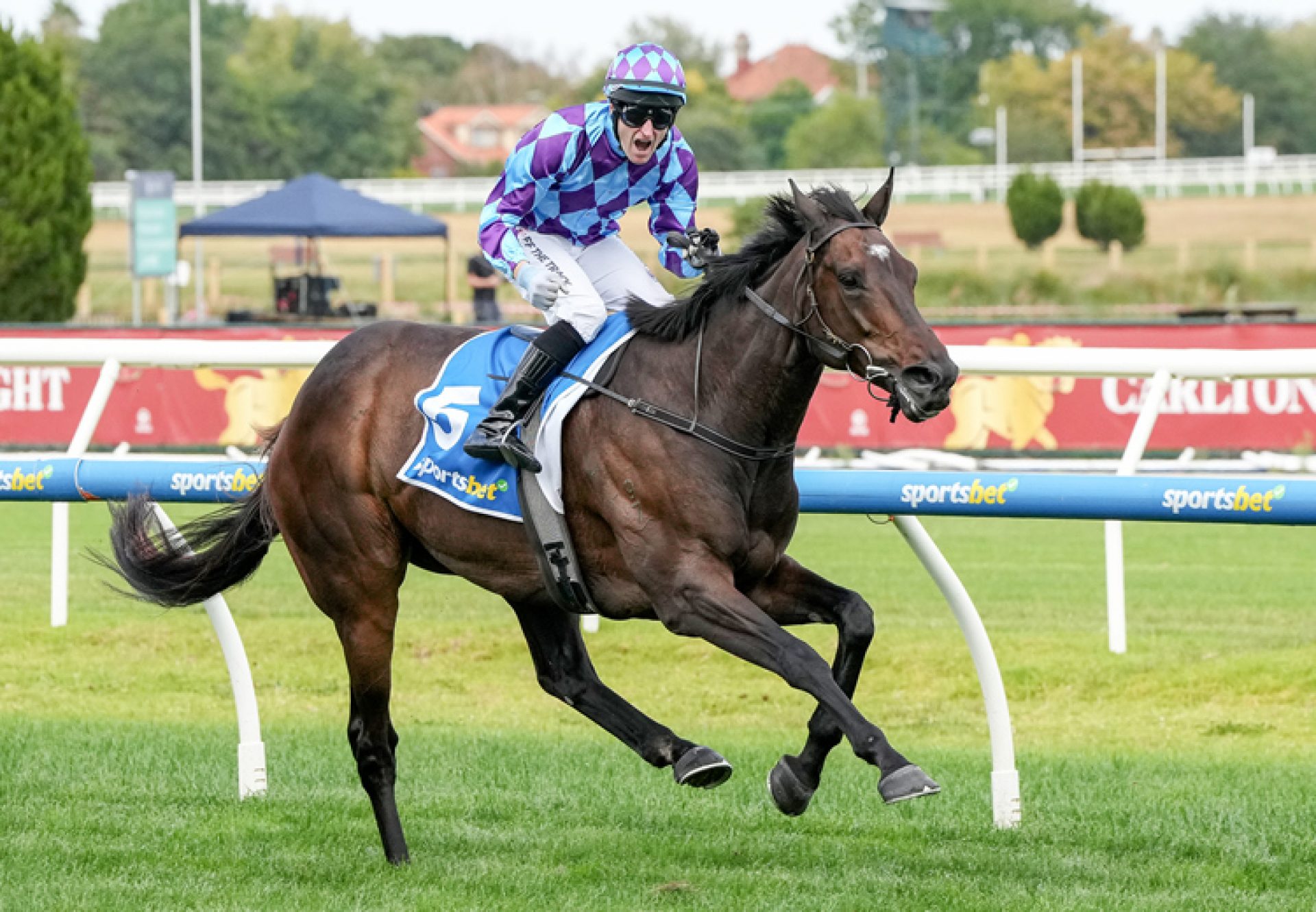 Pride Of Jenni (Pride Of Dubai) Peter Young 750