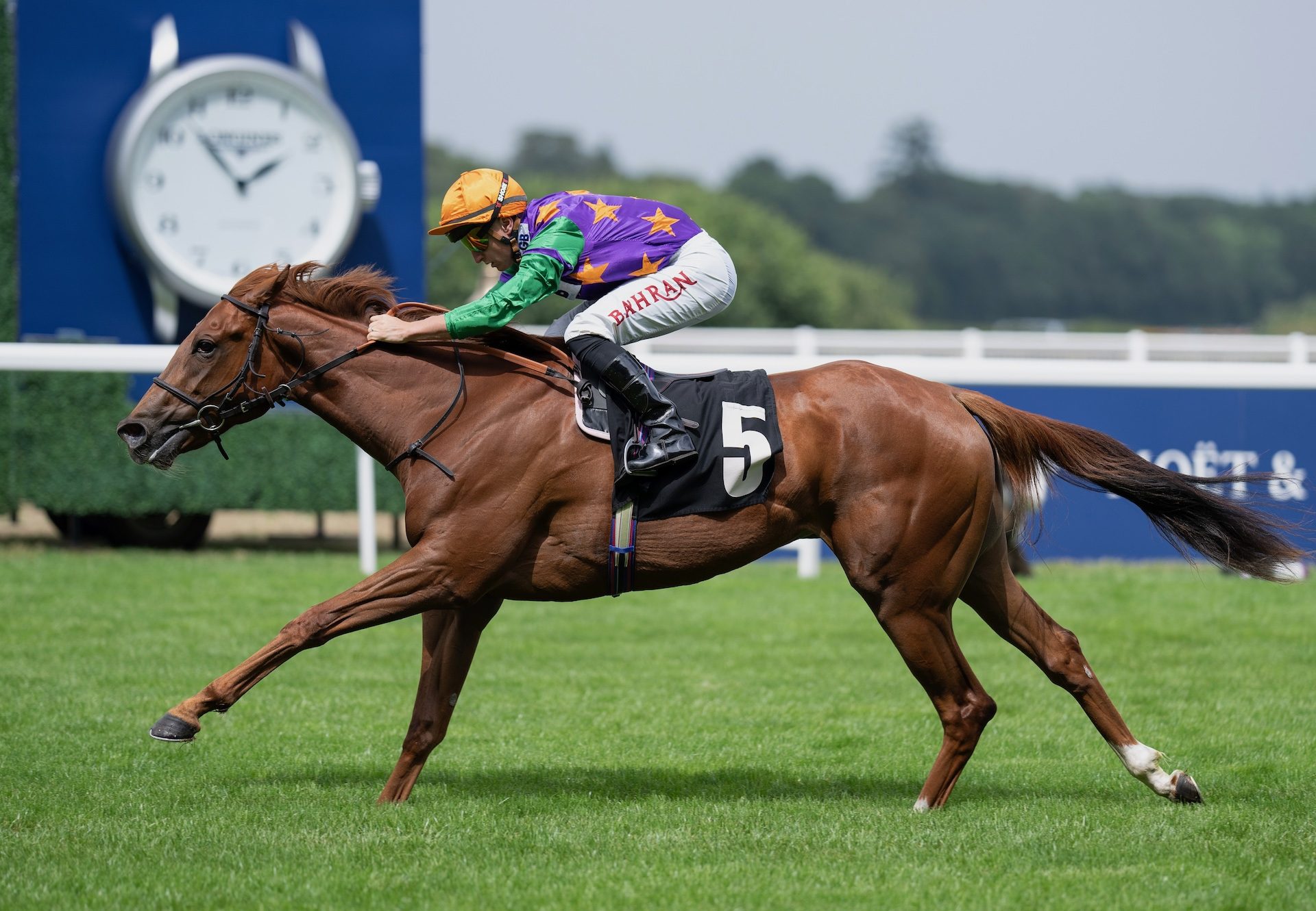 Princess Petrol (st mark's basilica) Wins At Ascot