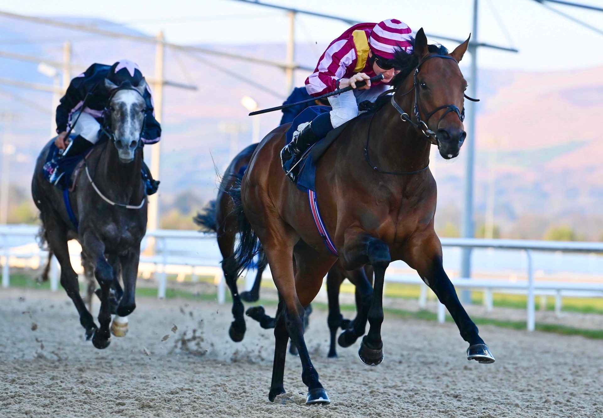 Professor Longhair (Wootton Bassett) Wins At Dundalk