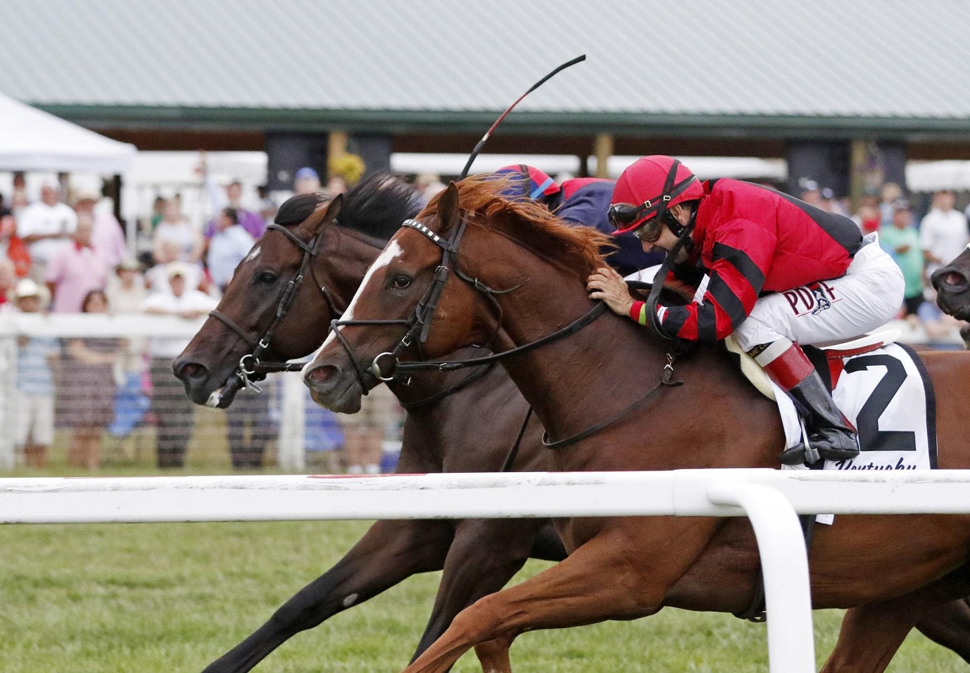 Proforma (Munnings) winning the G3 Kentucky Downs Turf Sprint
