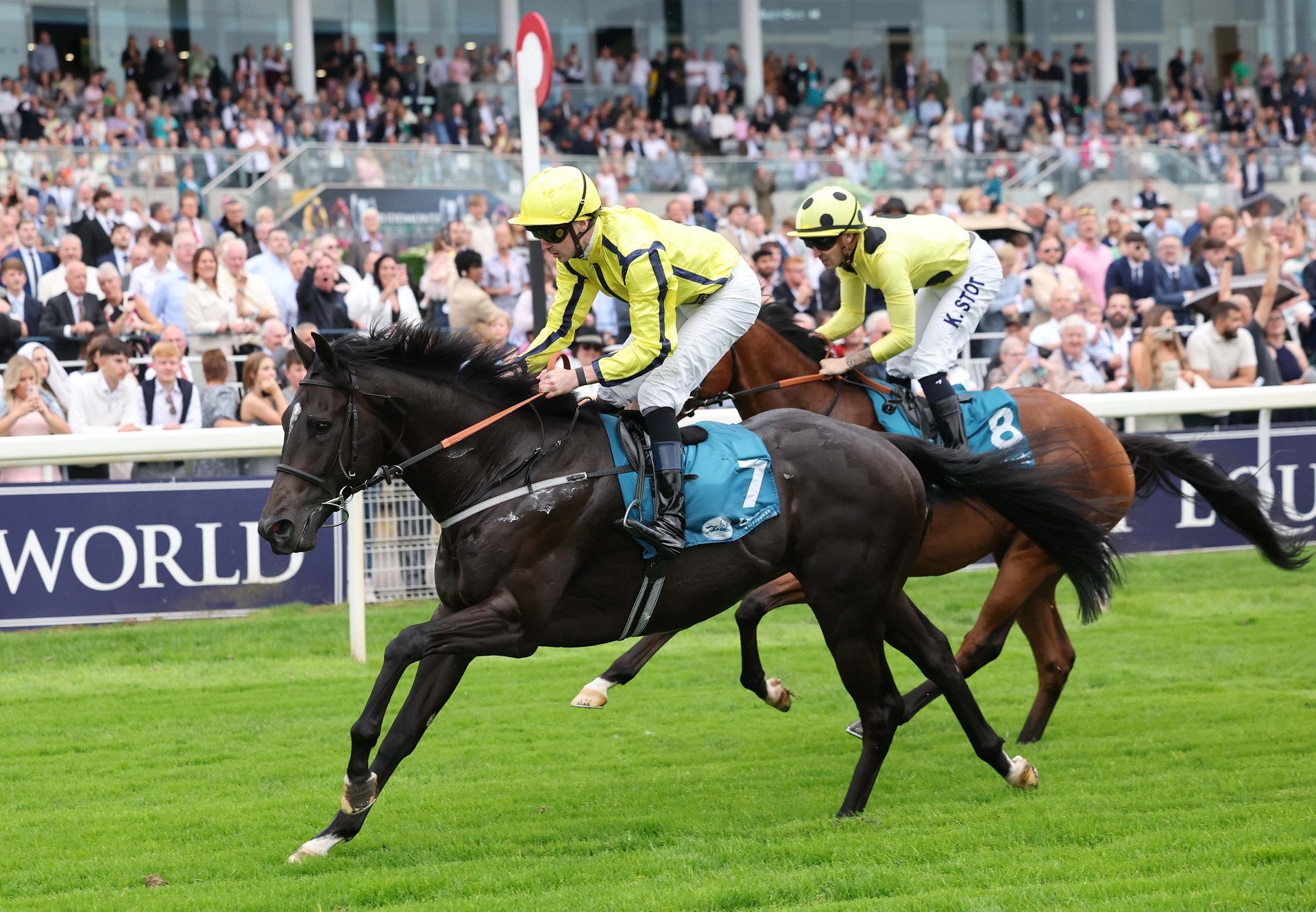 Proud Nation (Sioux Nation) York