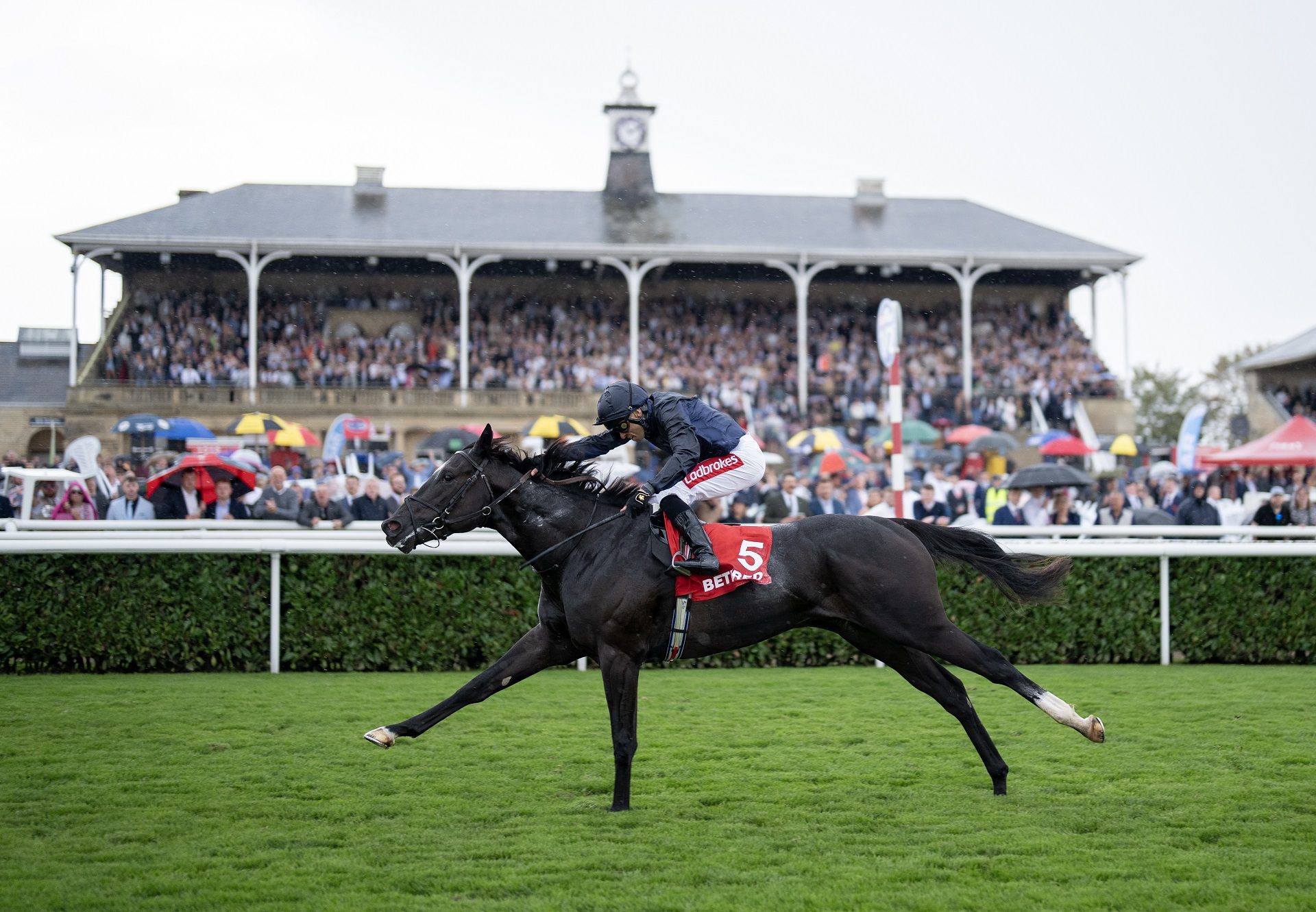 Puerto Rico Wootton Bassett Doncaster