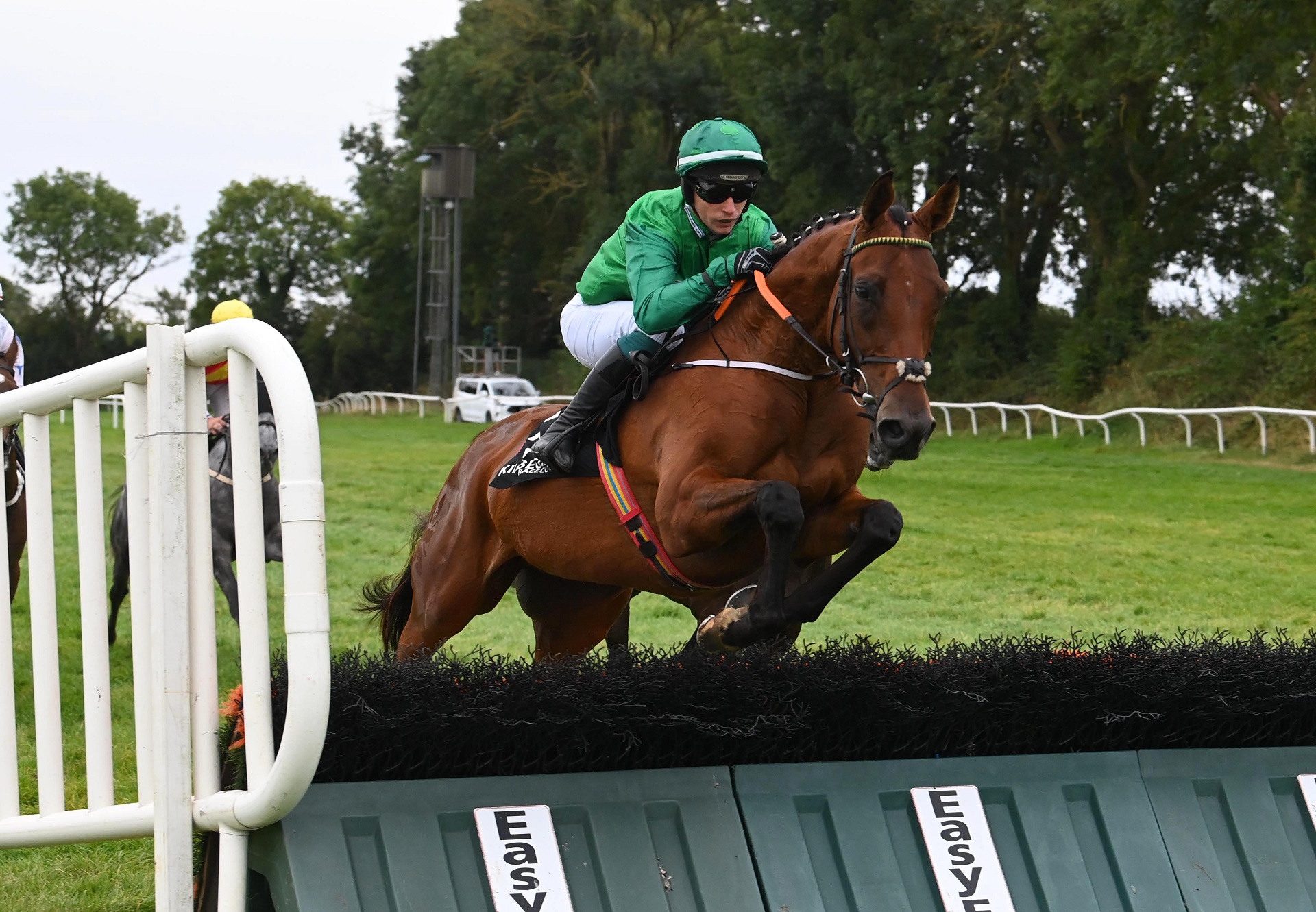 Quantum Quest (idaho) Kilbeggan