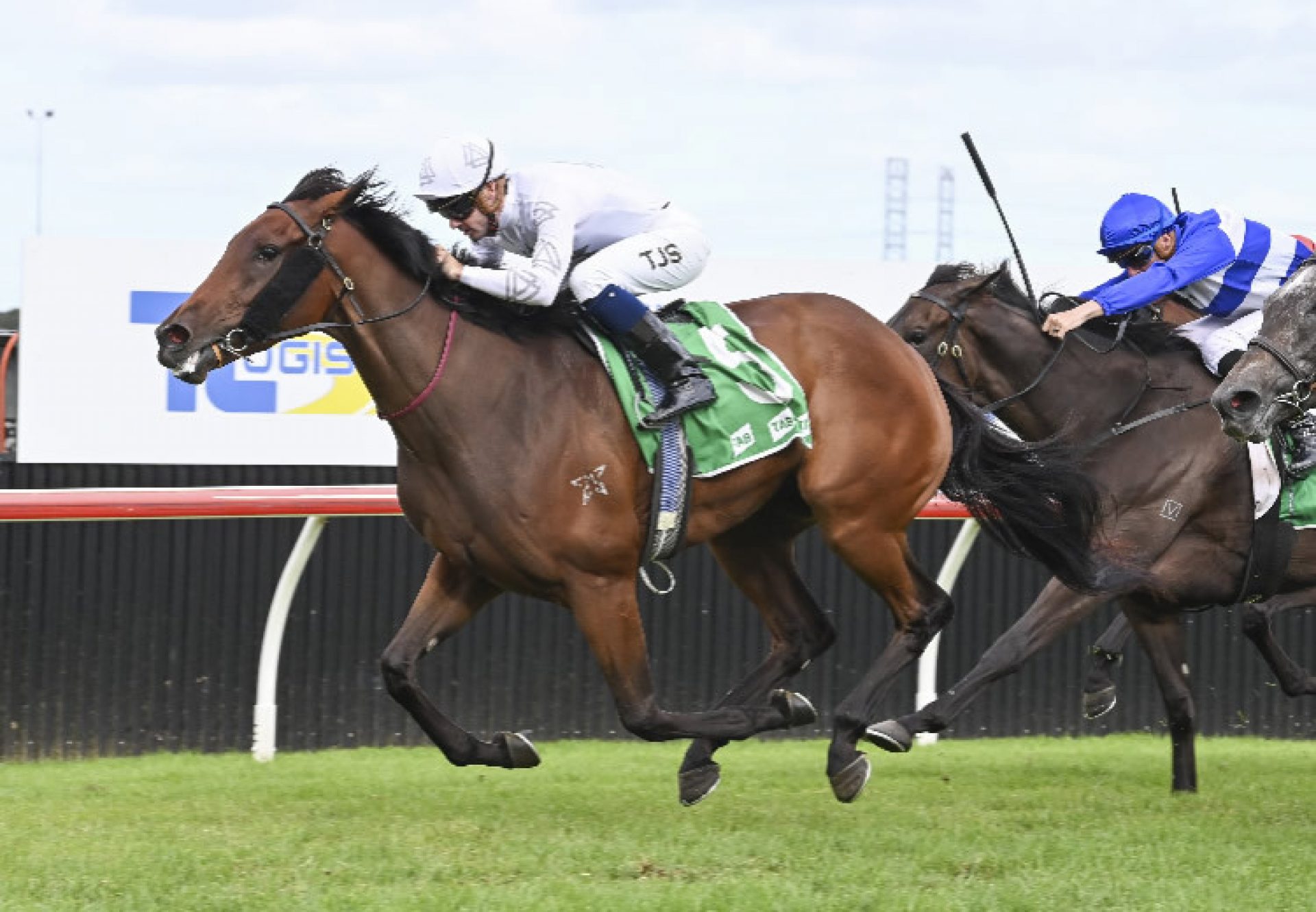 Queen Of Dragons (Pierro) winning at Kembla