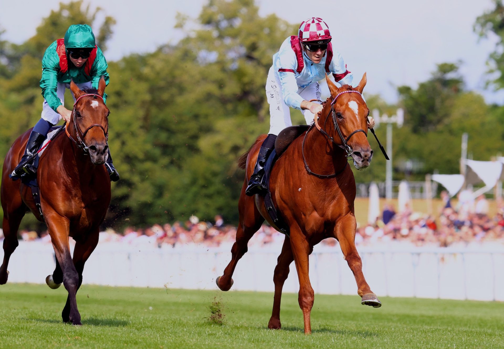 Rafale Design (starspangledbanner) Wins The Prix Du Lys