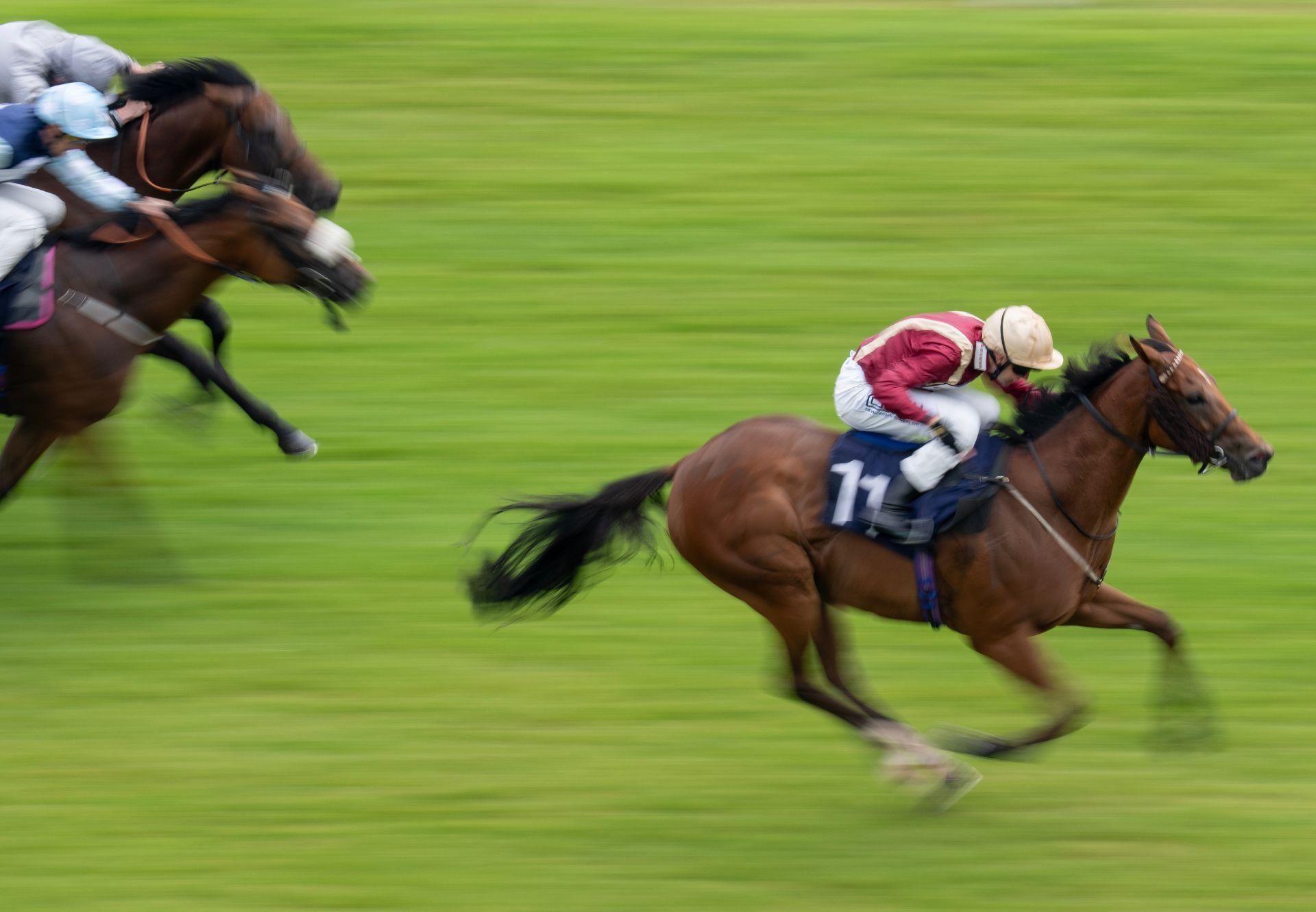 Rage Of Bamby (saxon warrior)