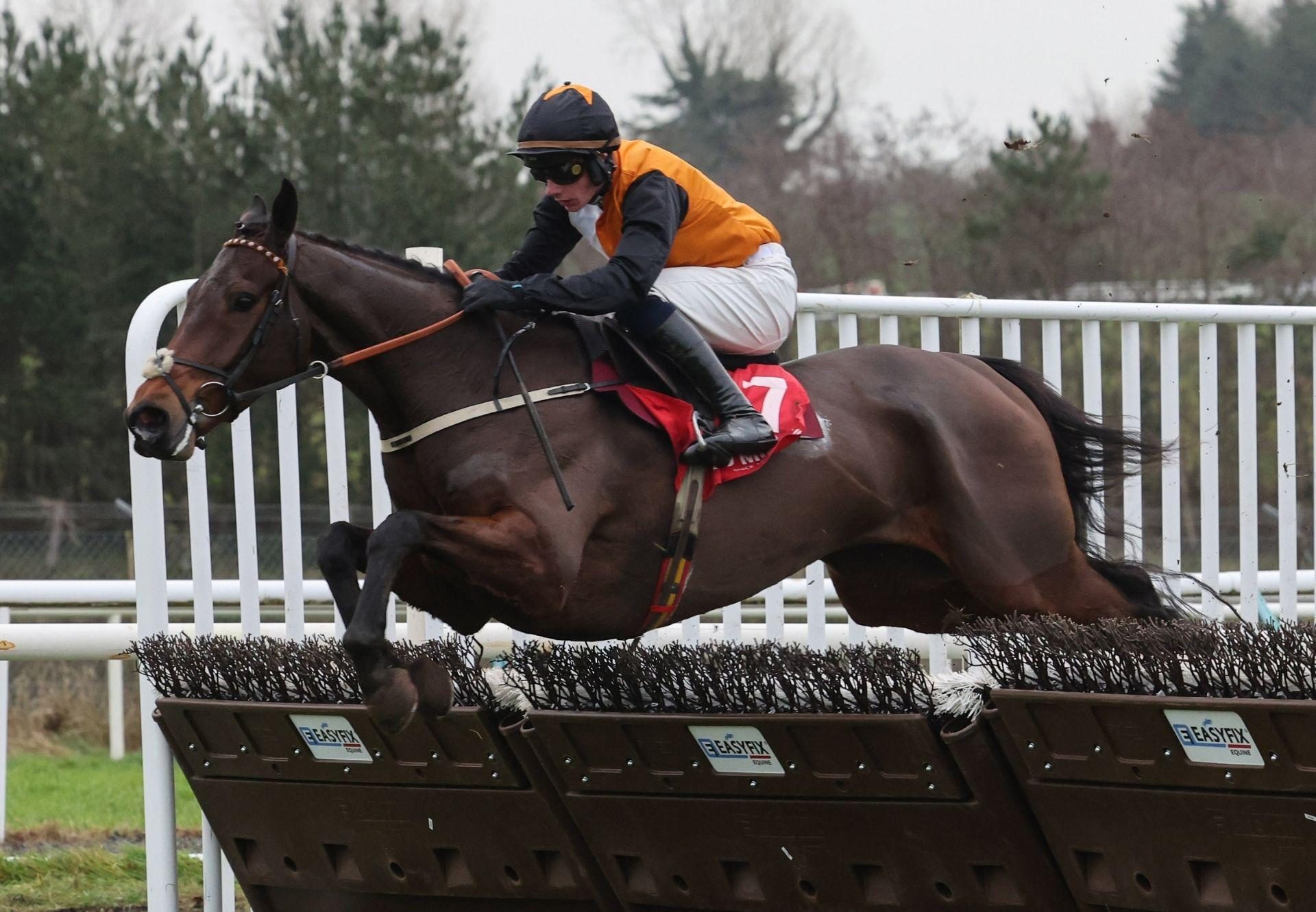 Raise You Up Wings Of Eagles Limerick