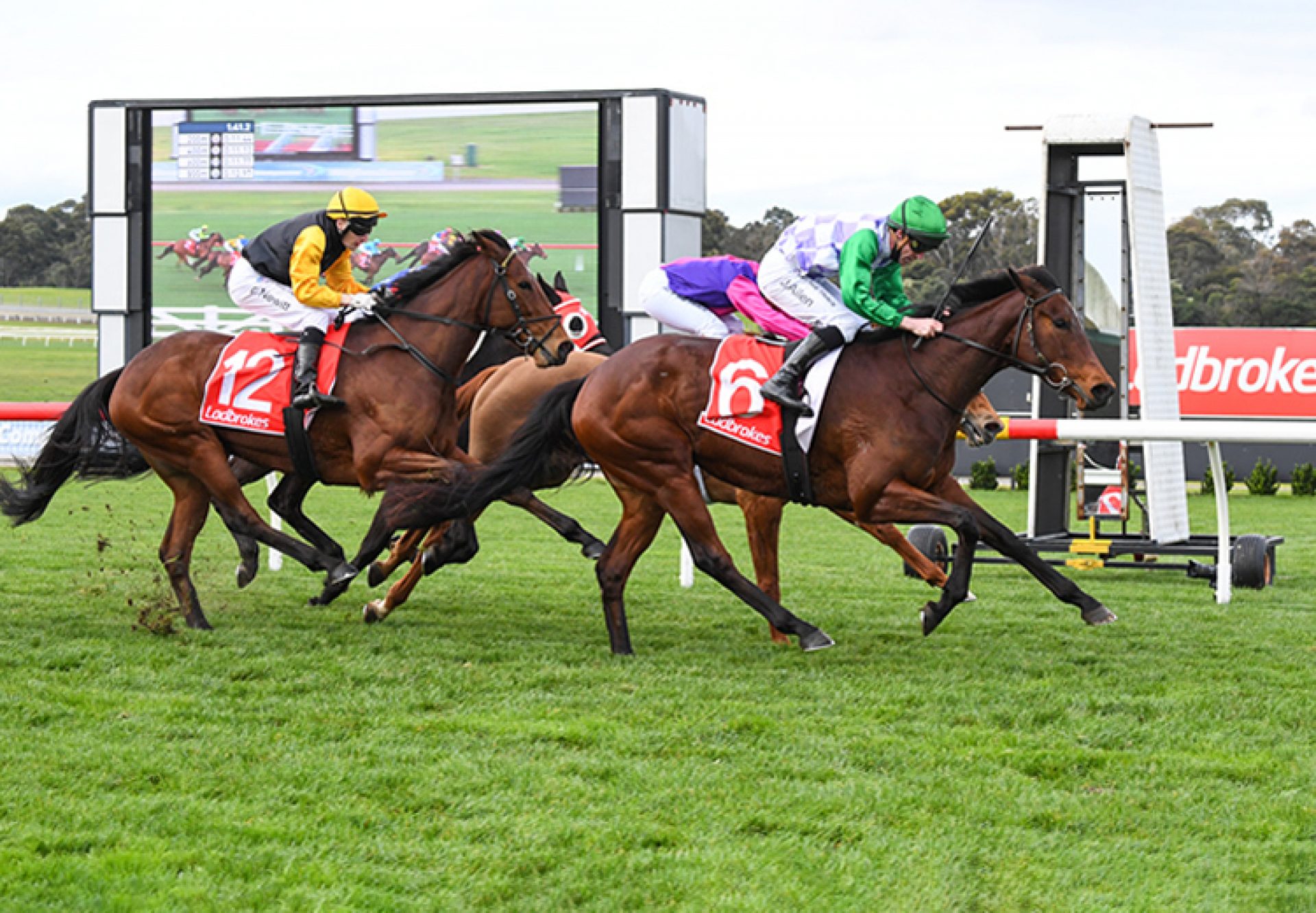 Rapid Achiever (Wootton Bassett) winning at Sandown