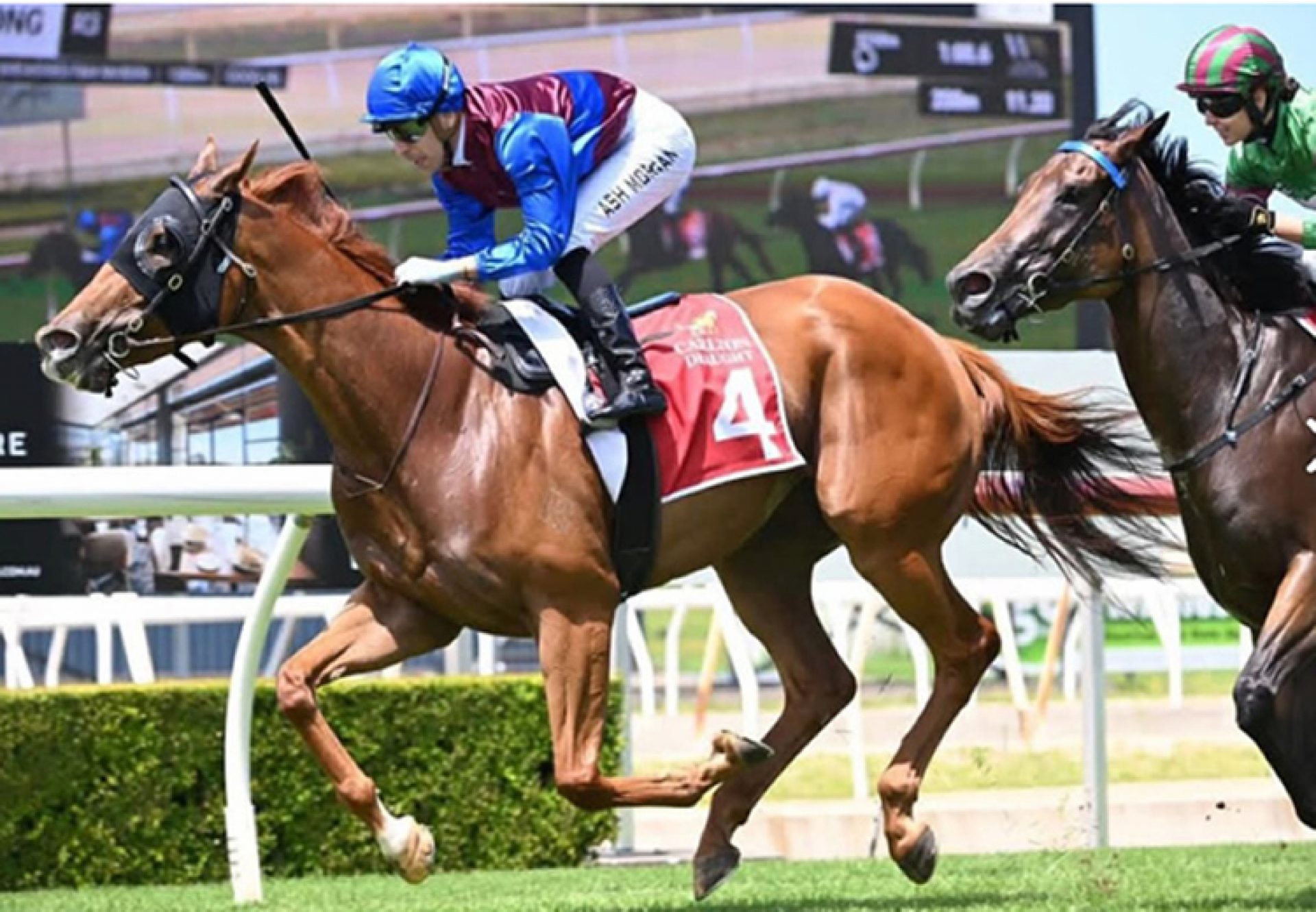 Reasonable (Justify) 750