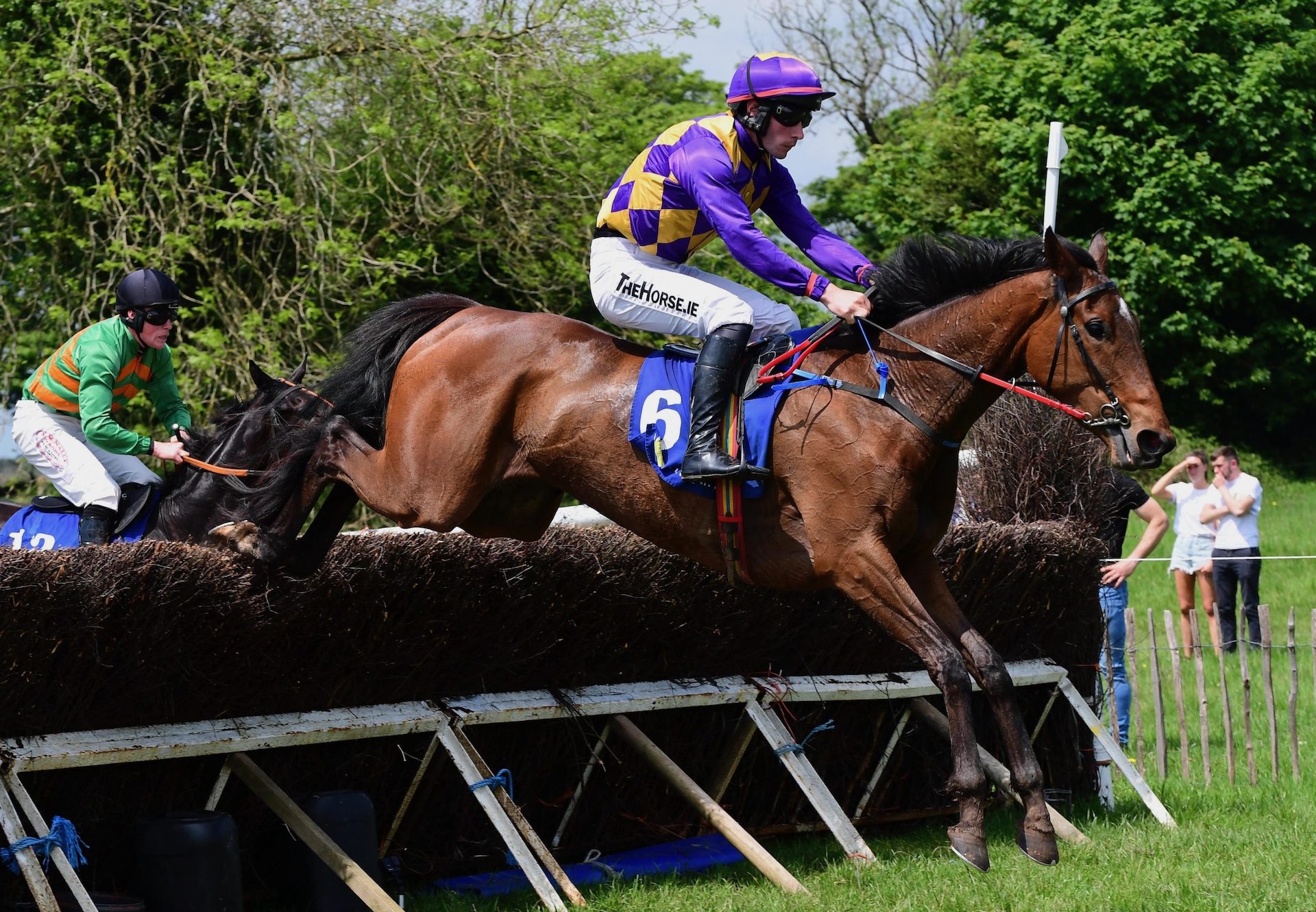 Red Acres Georgie (Order of St George) Wins The 4 Yo Maiden At Ballindenisk