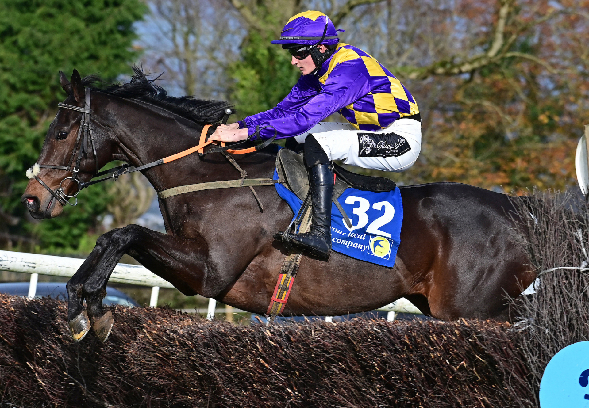 Red Acres Max Maxios Dromahane