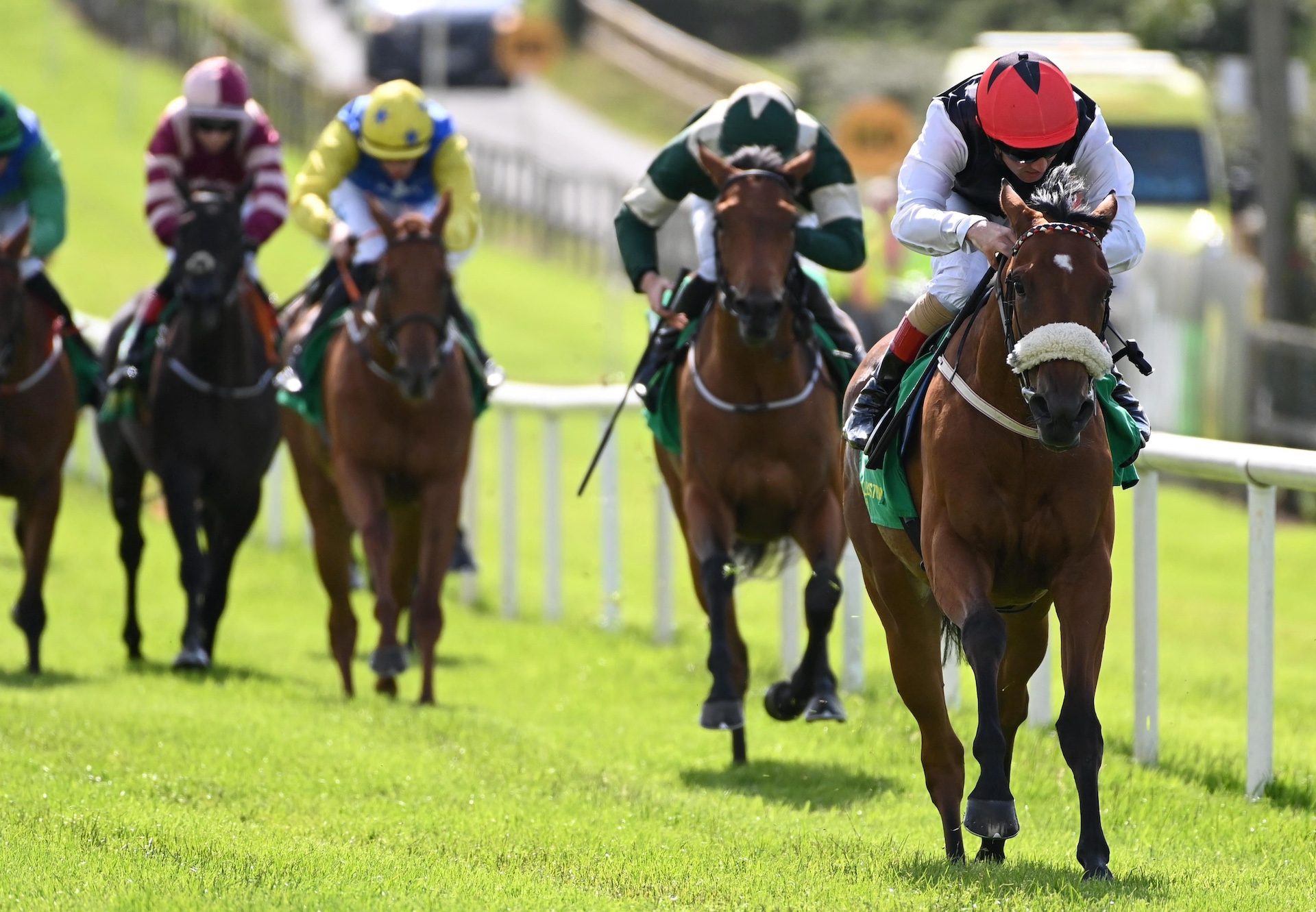 Red Autumn (Holy Roman EmperorWins At Bellewstown