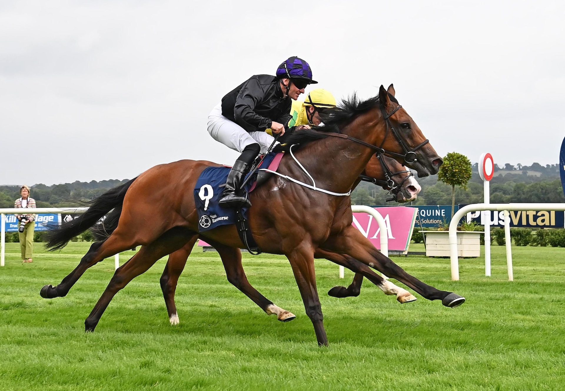 Red Earth (no nay never) Wins On Debut At Naas