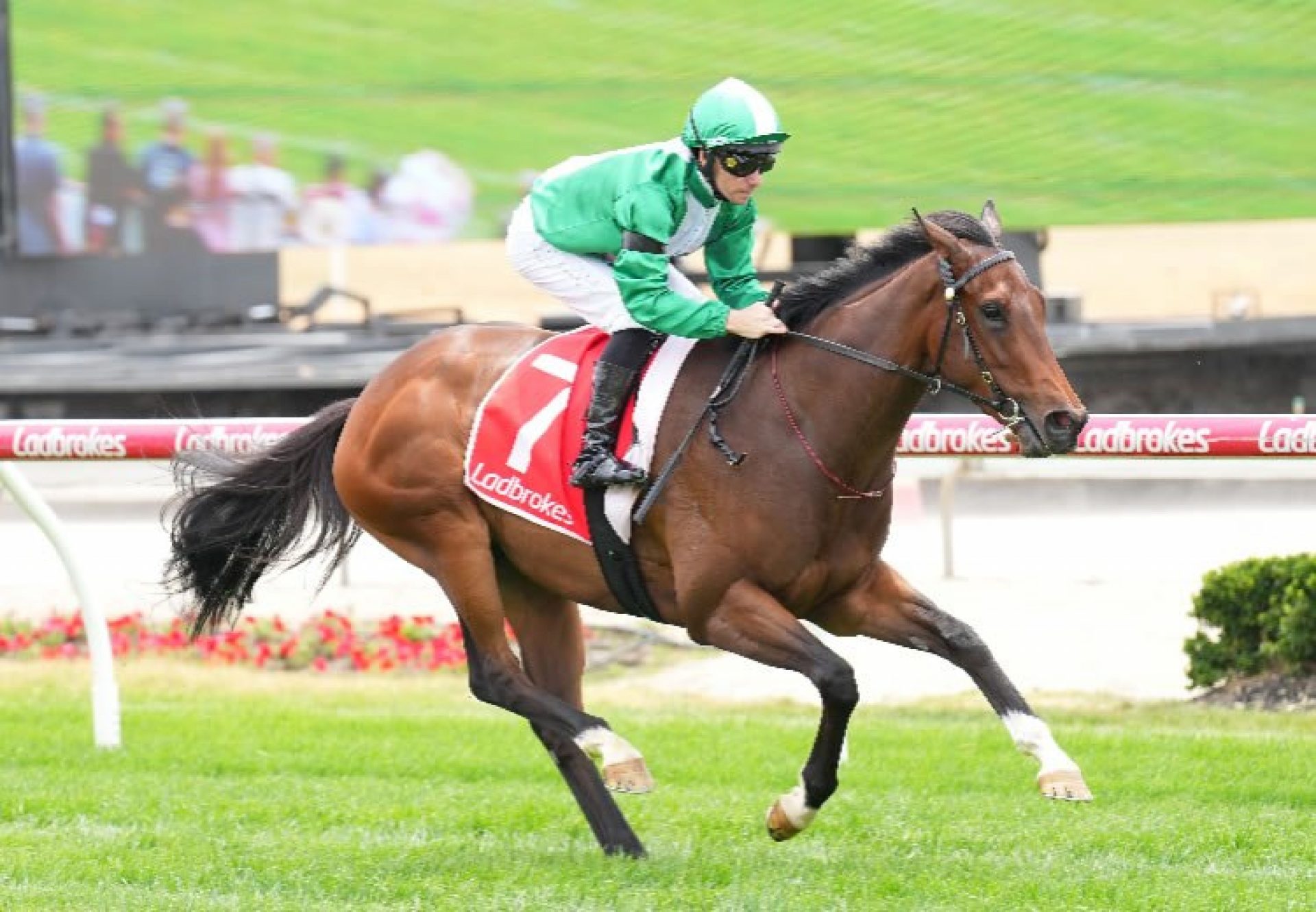 Refusetobeenglish (Churchill) Cranbourne 750