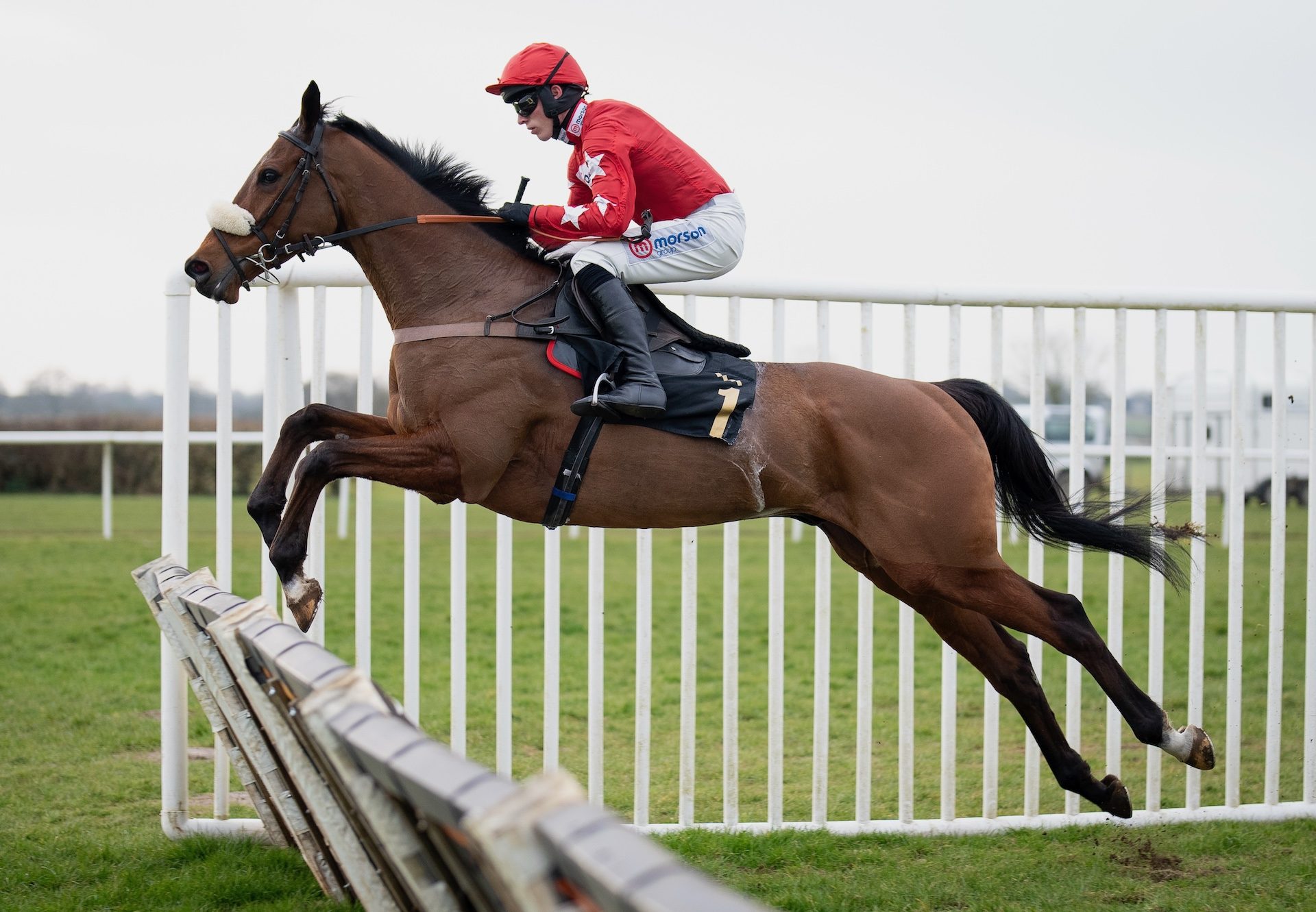 Regent’S Stroll (Walk In The Park) Wins At Wincanton