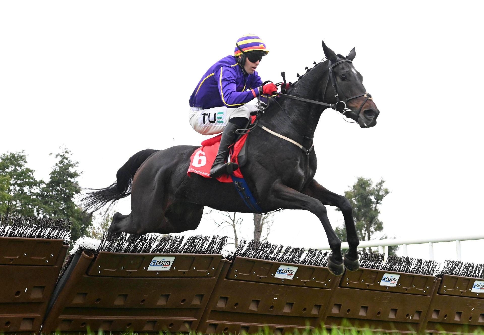 Reiki Revolution Wings Of Eagles Punchestown