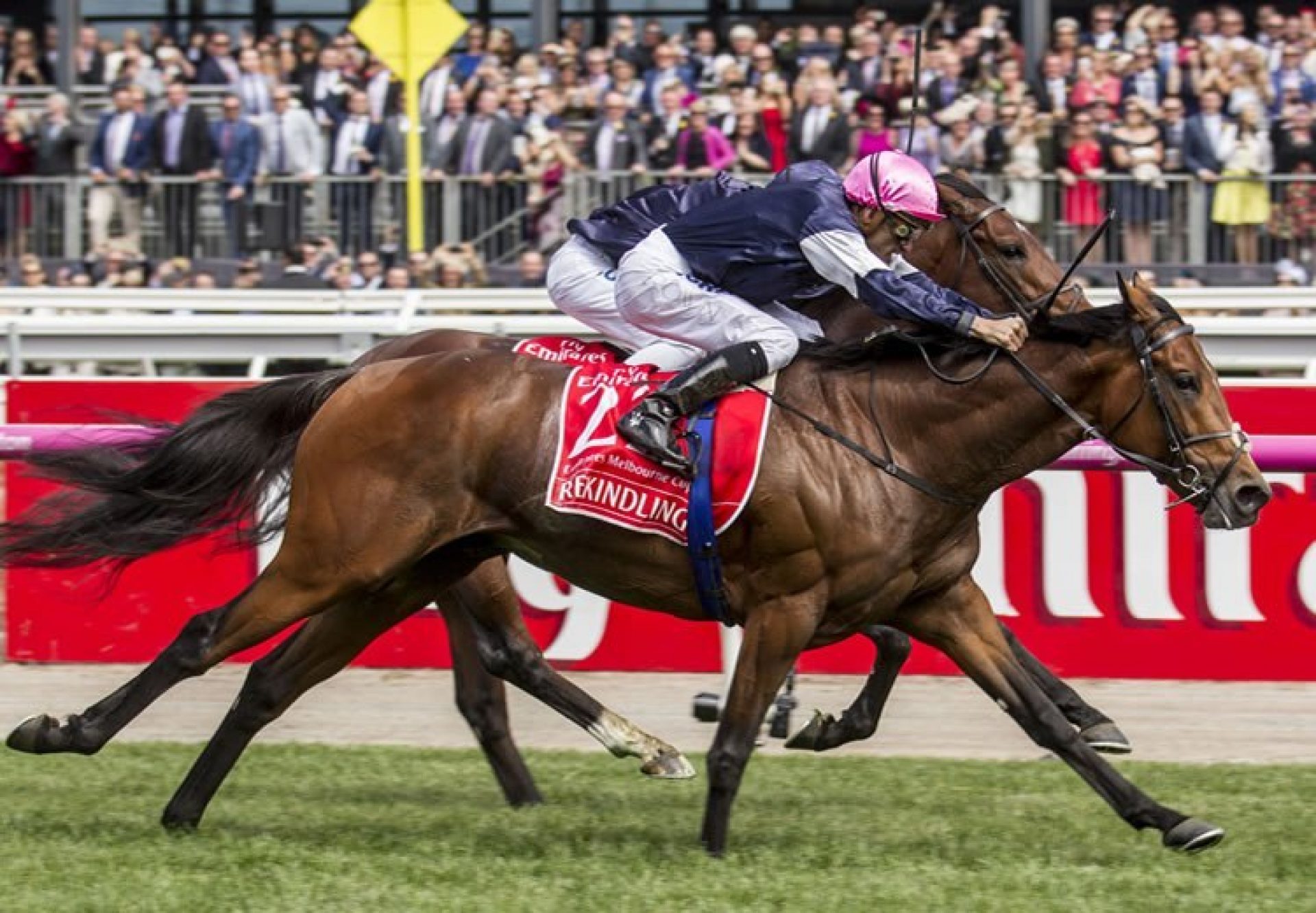 Rekindling (High Chaparral) winning the G1 Melbourne Cup at Flemington