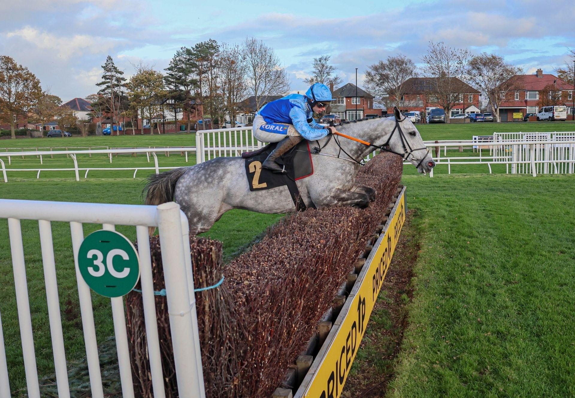Resplendent Grey Walk In The Park Carlisle