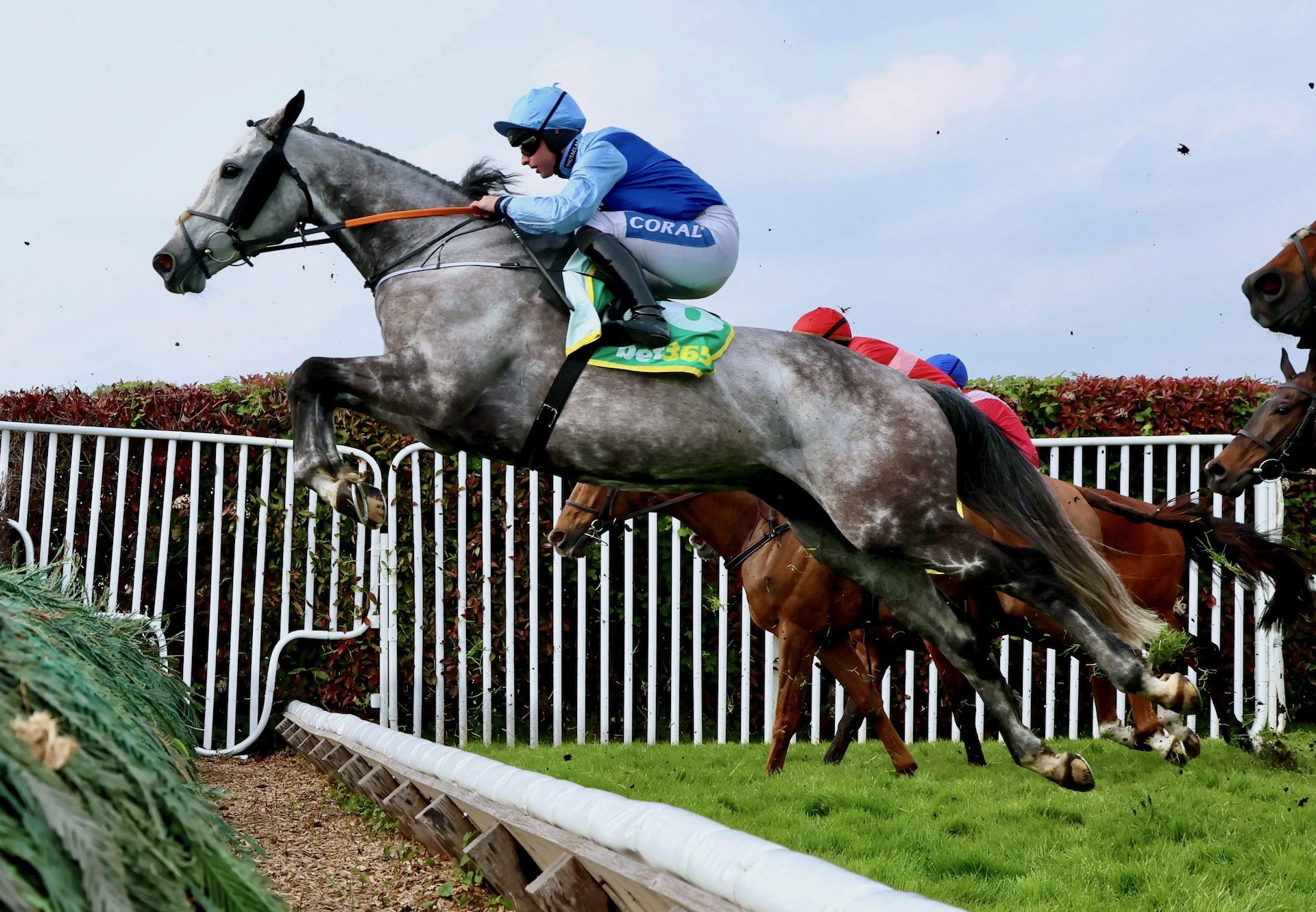 Resplendent Grey (Walk in the park) Wins The Bet365 Gold Cup Sandown
