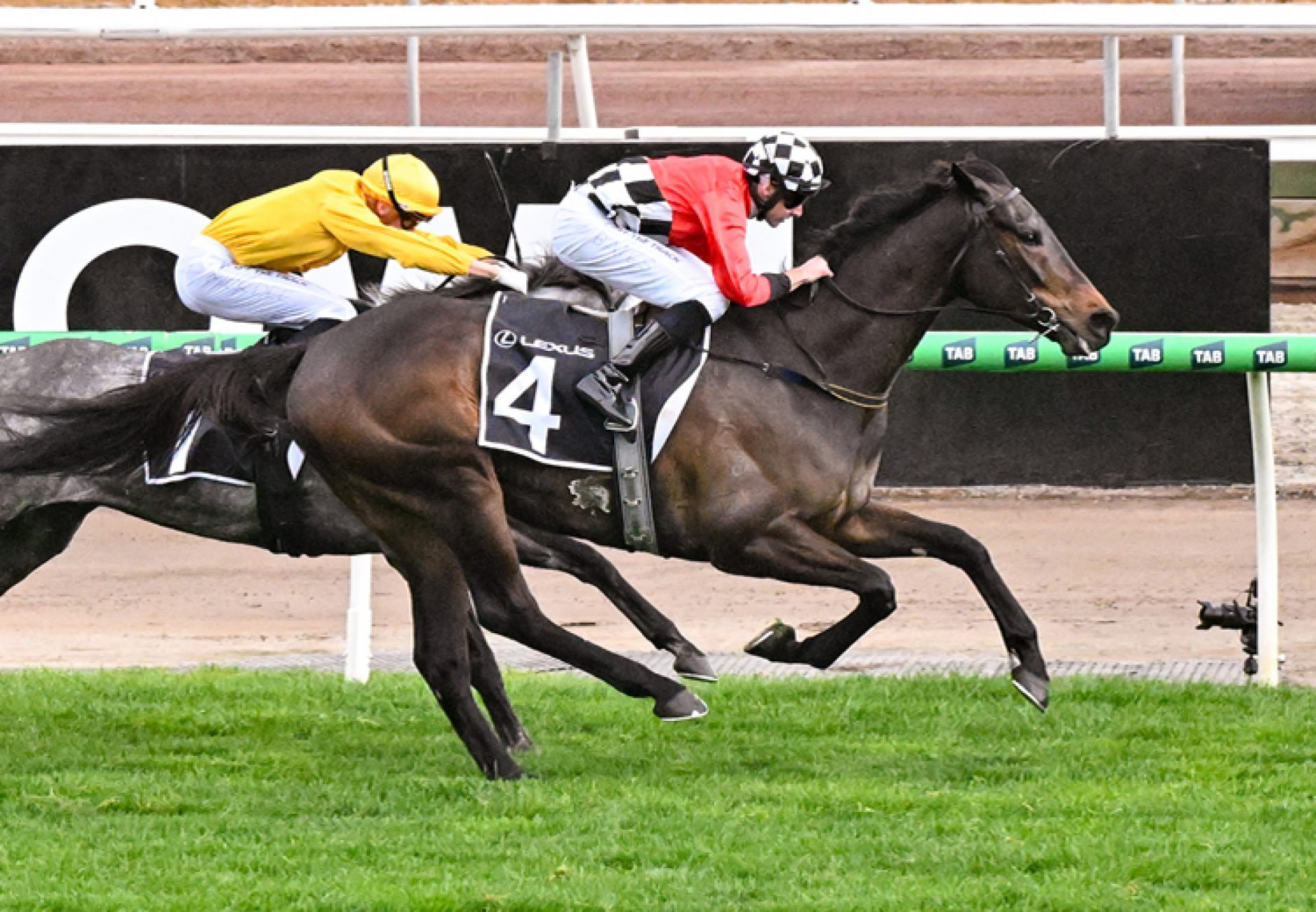 Revelare So You Think  Archer 750