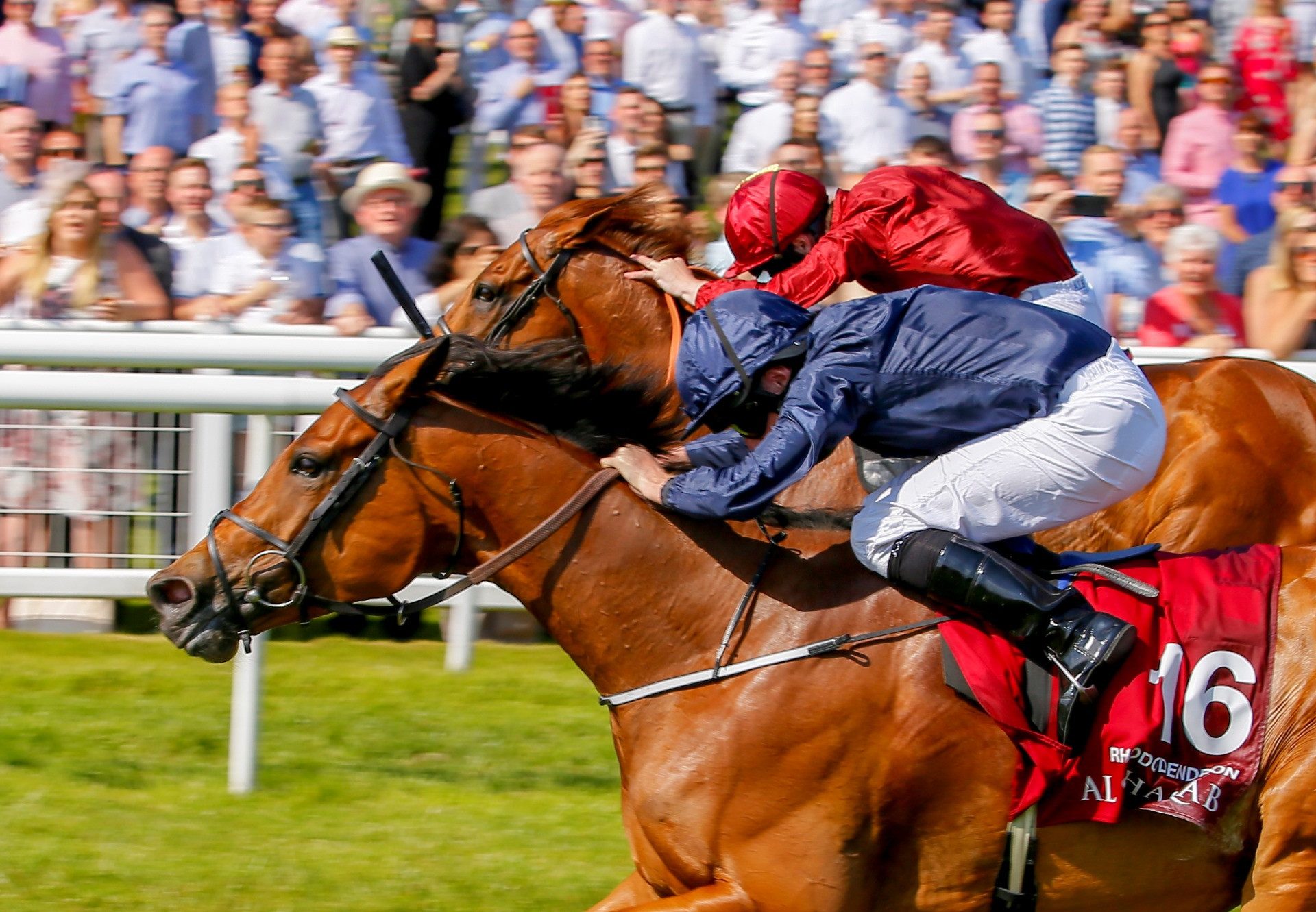 Rhododendron (Galileo) winning the G1 Lockinge Stakes at Newbury