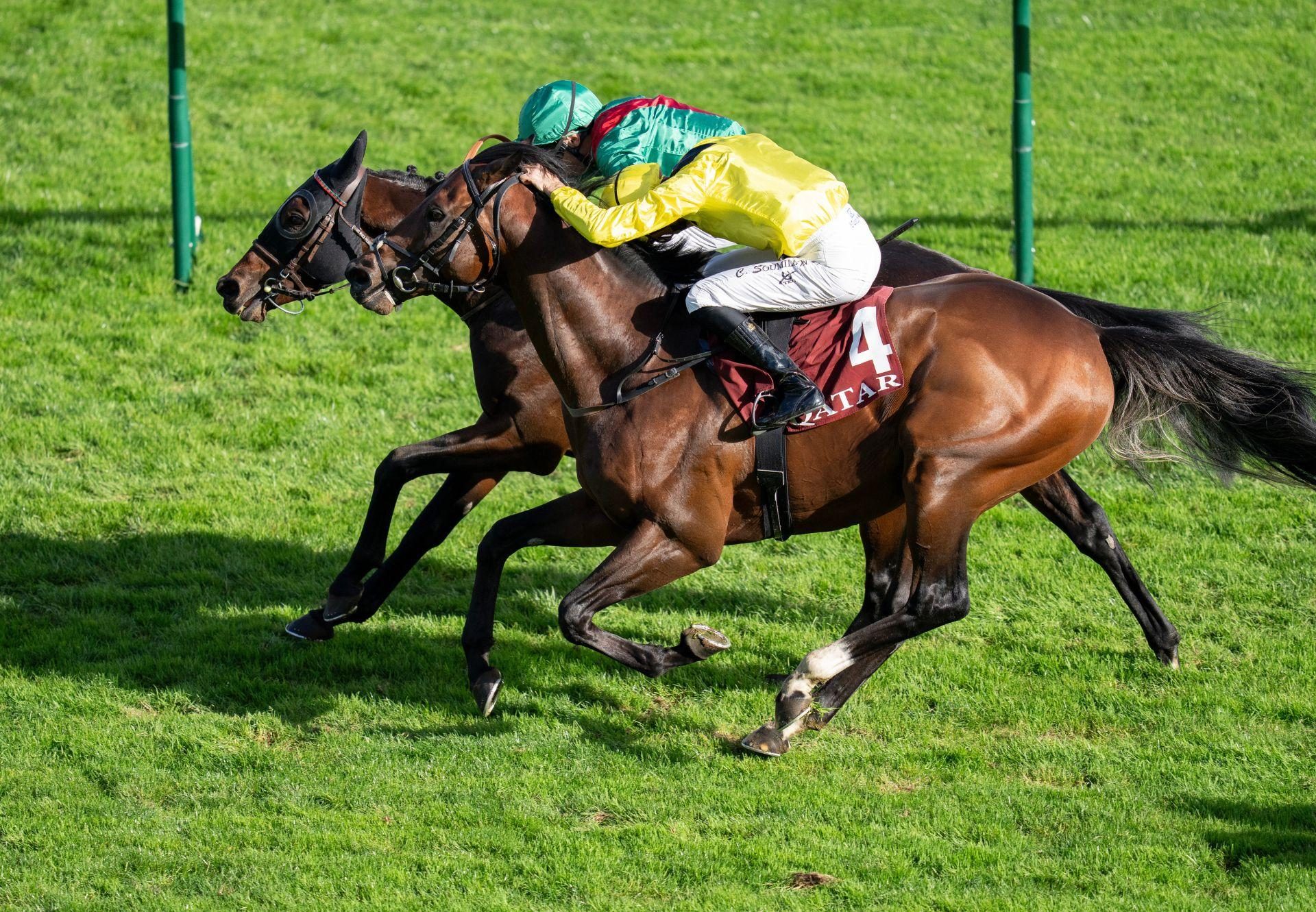 Ridari Churchill Longchamp