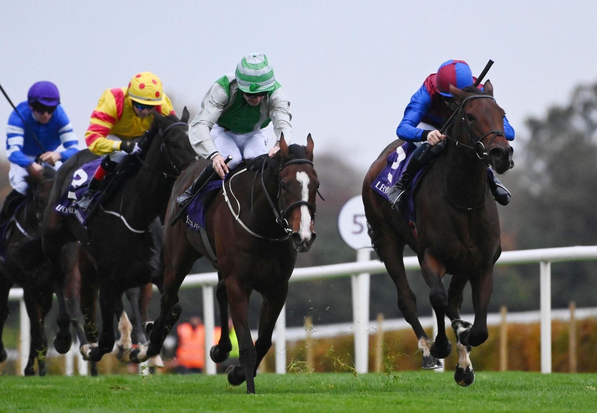 River Ara St Marks Basilica Leopardstown